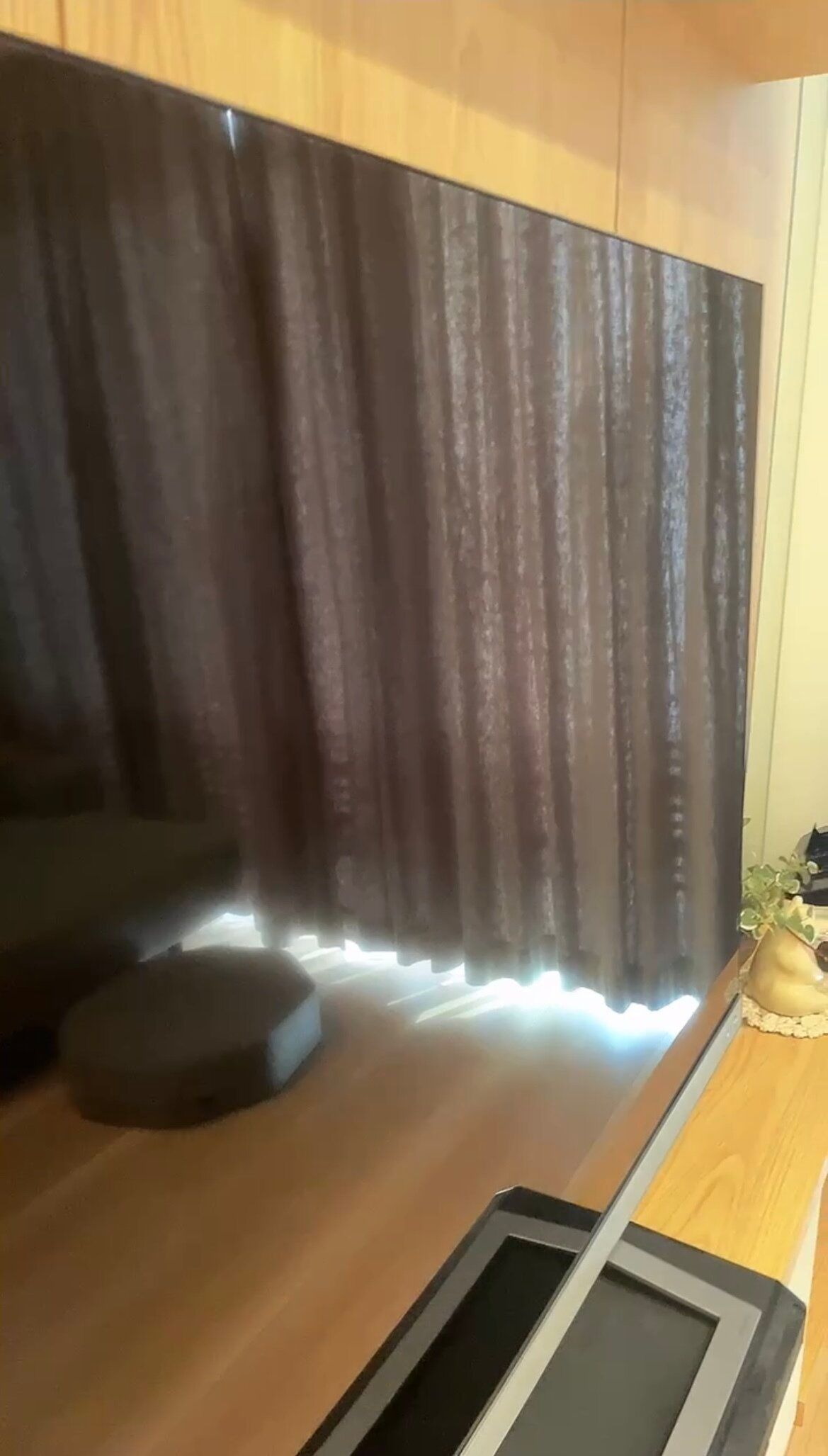 【大掃除】小学生でもできた‼簡単テレビ掃除方法とは？？