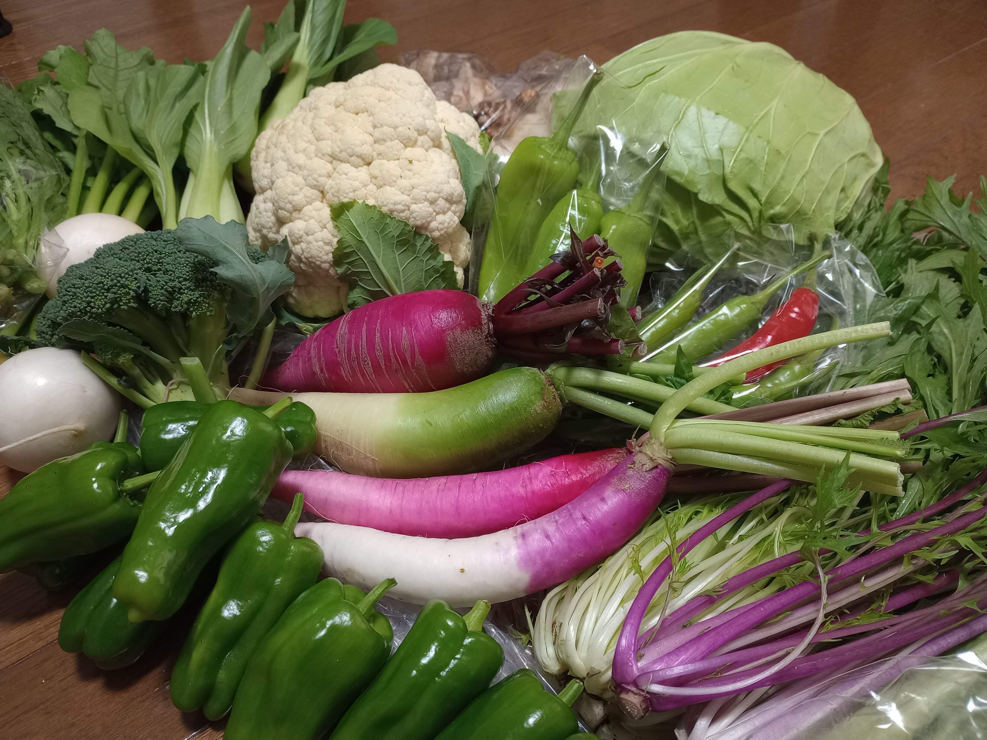 21品種を使い切り！農家直送の野菜セットで秋の作り置き