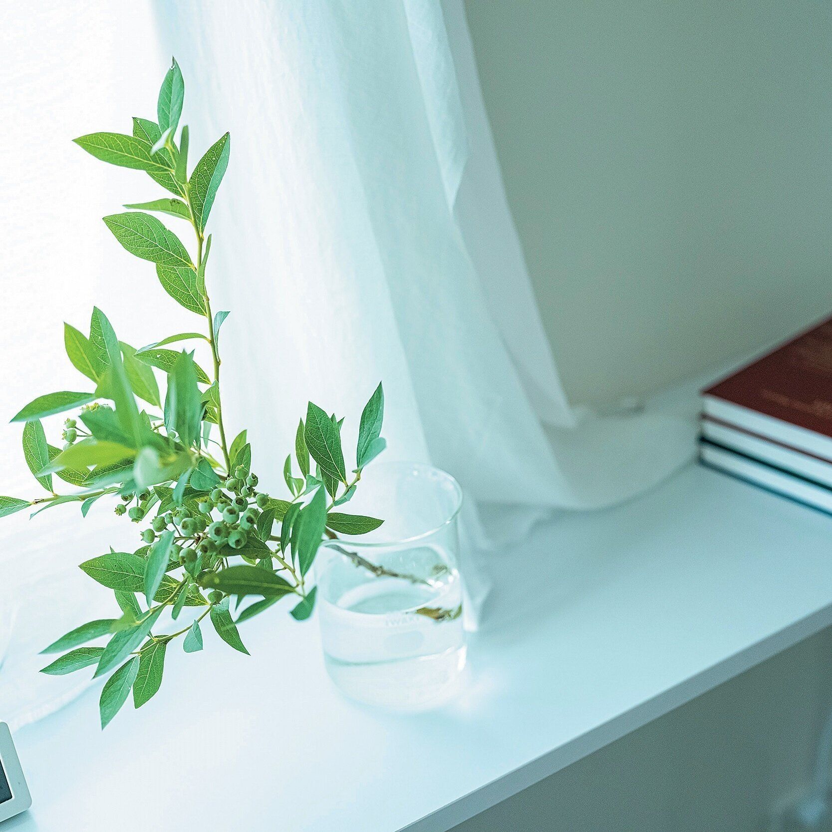 どんな収納テクニックより効く！断捨離（Ｒ）提唱者のやましたひでこさんからもらった心にずしんと響く言葉。