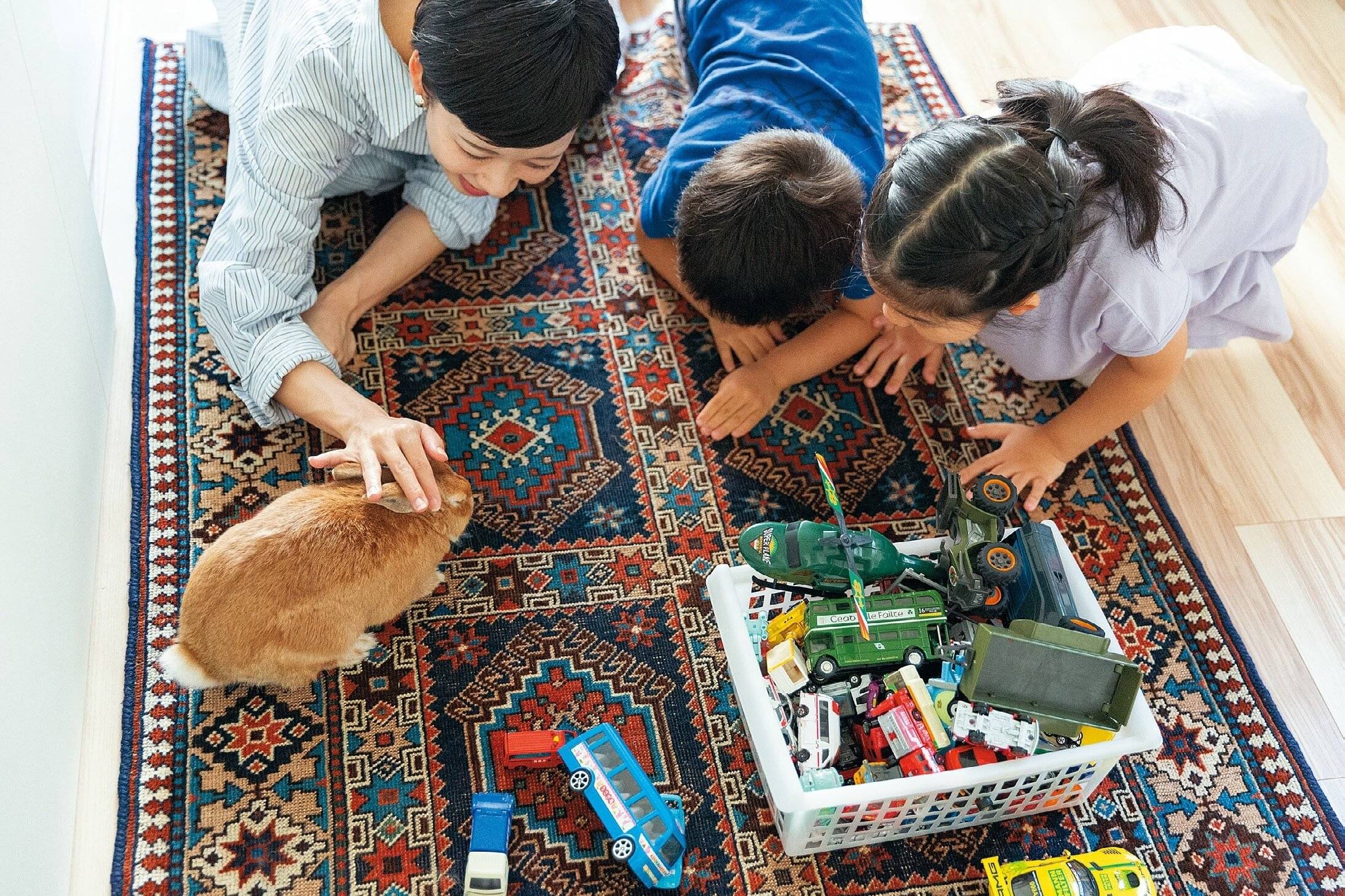 「幸せホルモンがじゅわーっと出てくる！」研究者がうさぎを飼い始めてから、実感したこと。