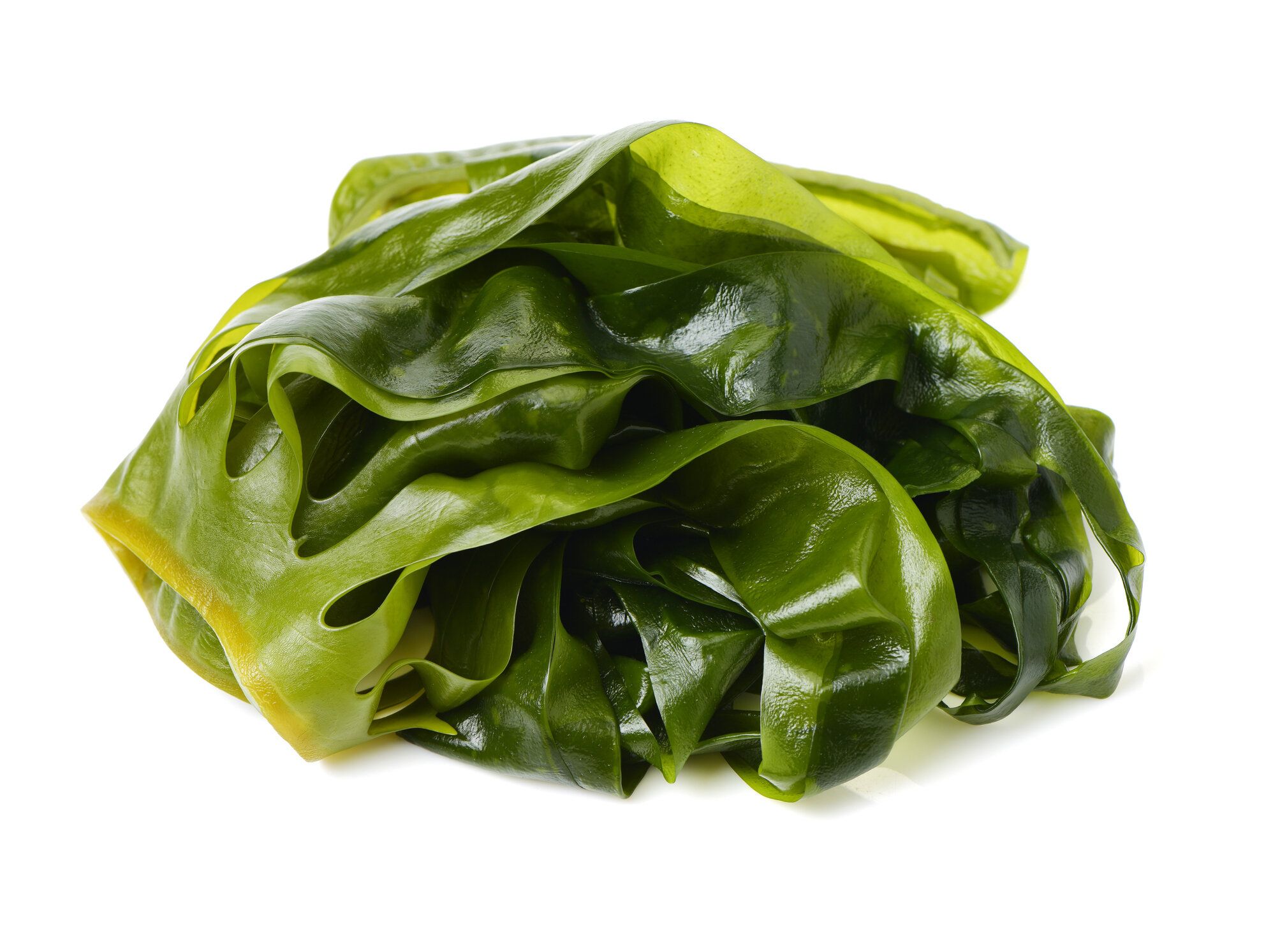 「生わかめ」の冷凍方法は？上手な保存のコツやおいしい活用レシピを紹介