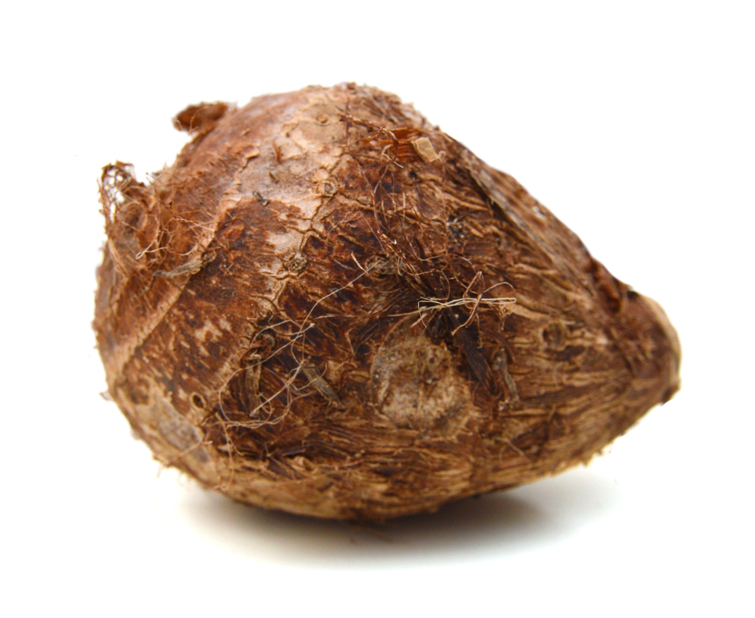 「里芋」の冷凍方法は？上手な保存のコツやおいしい活用レシピを紹介