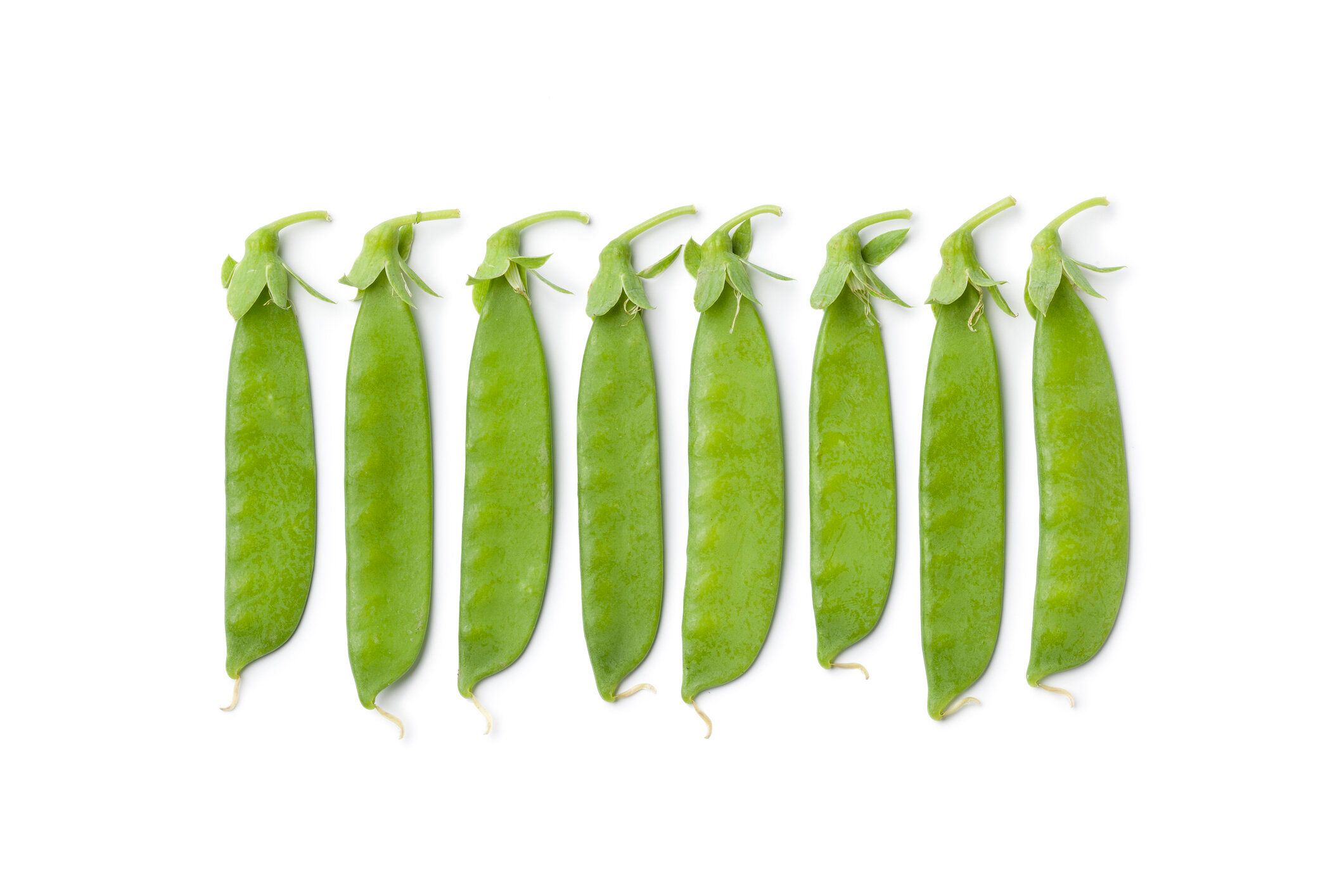 「絹さや」は冷凍できる！保存や解凍の方法・注意点は？アレンジレシピも紹介