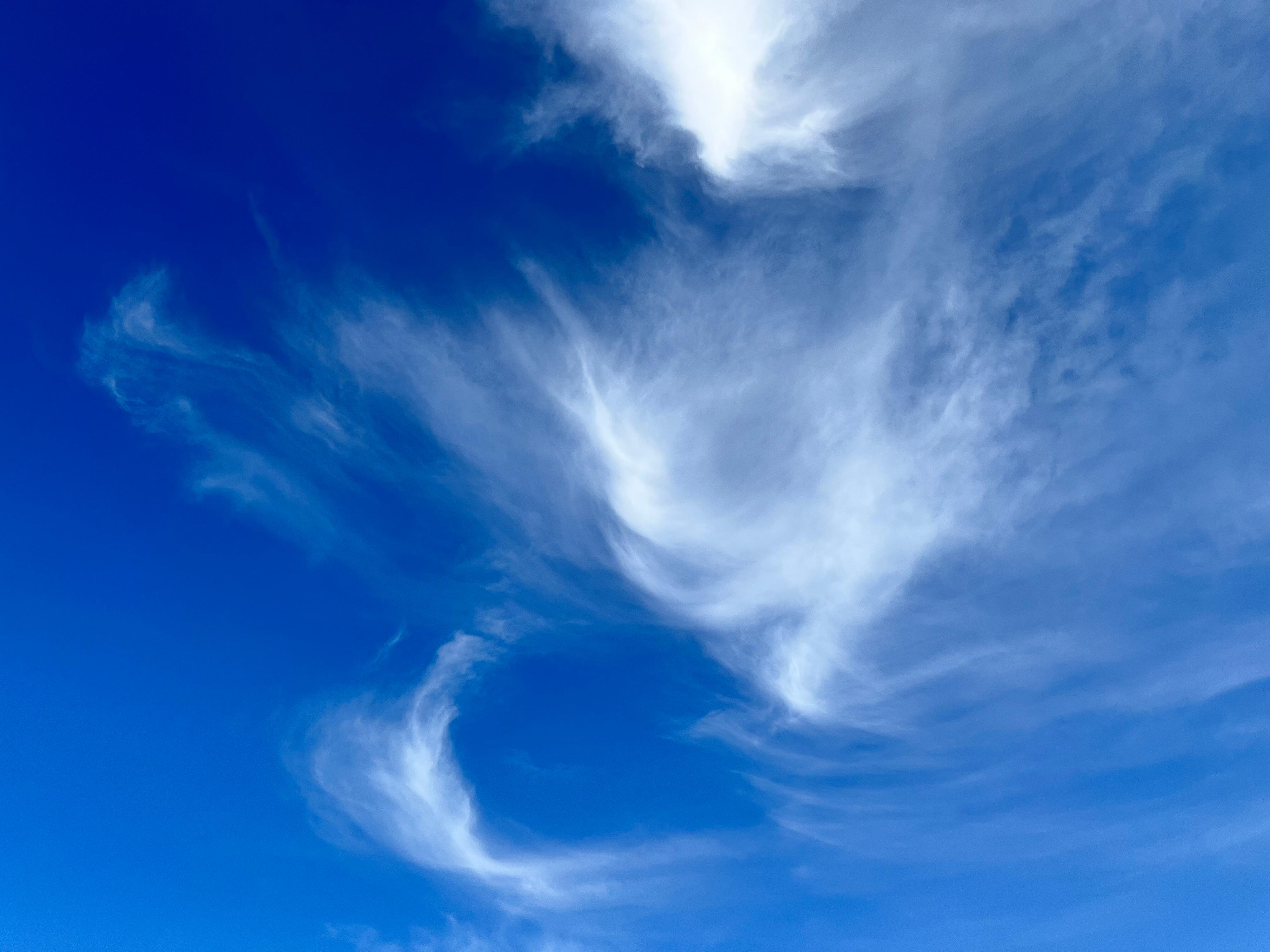 蒟蒻畑の新商品【プリン味】味も◎ カロリーも◎ 防災食品としても◎