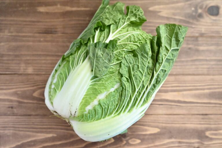 【旬食材】常温？冷蔵？白菜の正しい保存方法＆簡単に作れる副菜レシピ2選
