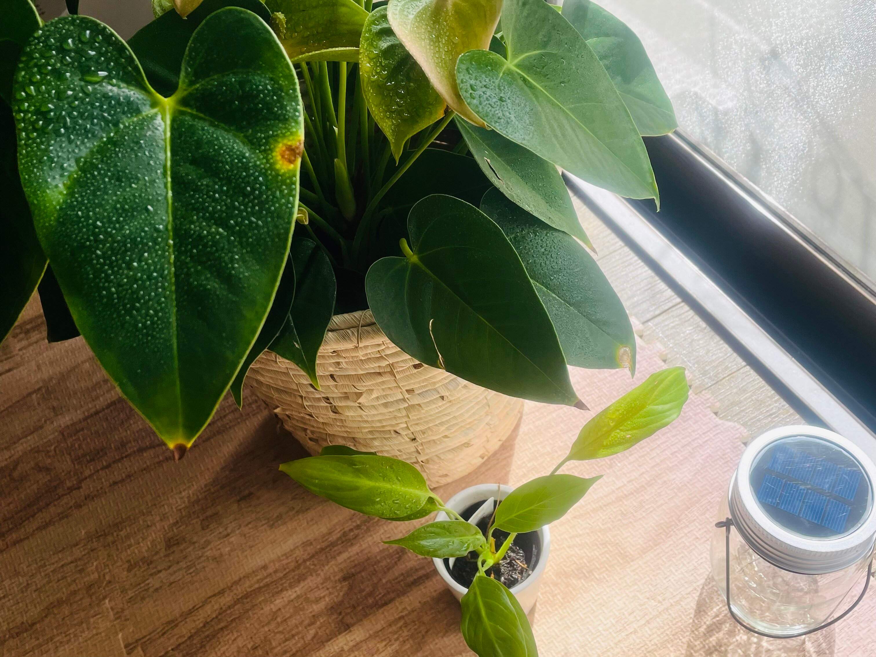 家にあるものでスッキリと！今日からできるエコな収納