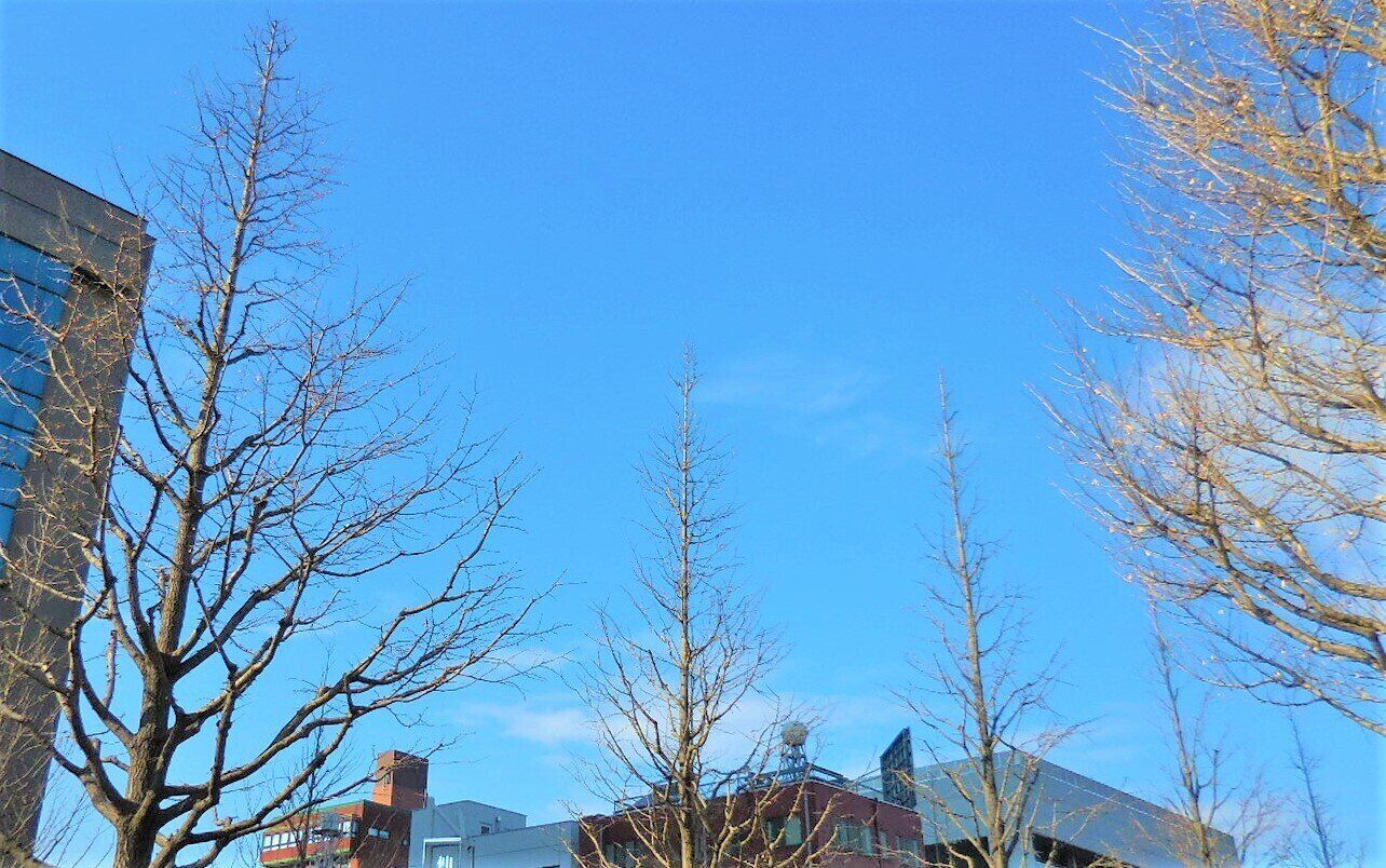 師走突入とともに冬将軍がやってくる！最低限やっておきたい衣食住の確認とは