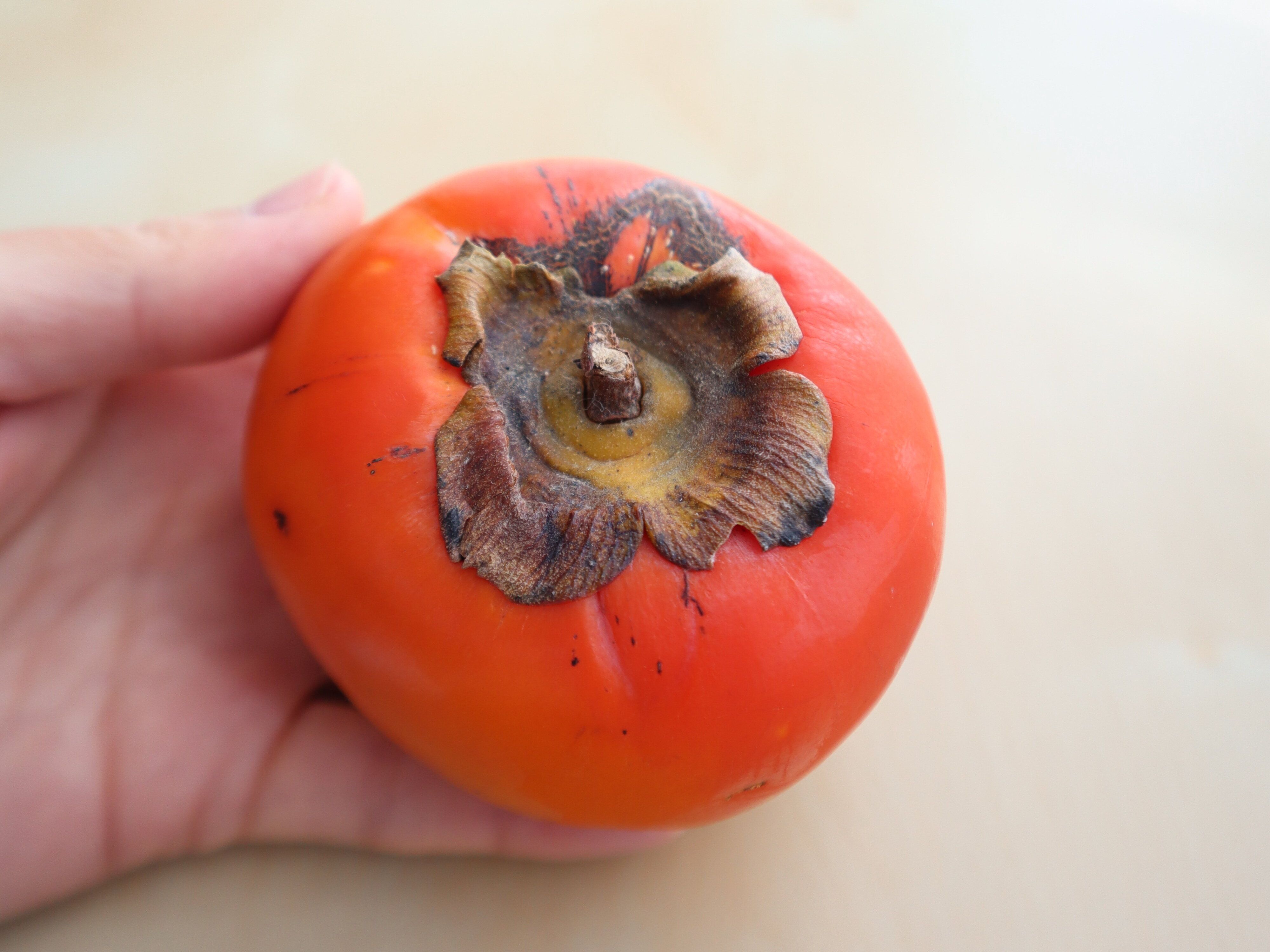 【旬食材】熟しすぎた柿もおいしく食べられる！救済スイーツレシピ2選