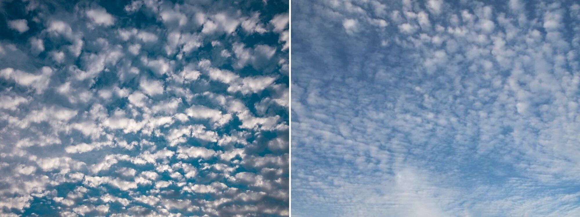 ひつじ雲といわし雲の違いは親指でわかる！家事に役立つ観天望気を気象予報士が解説