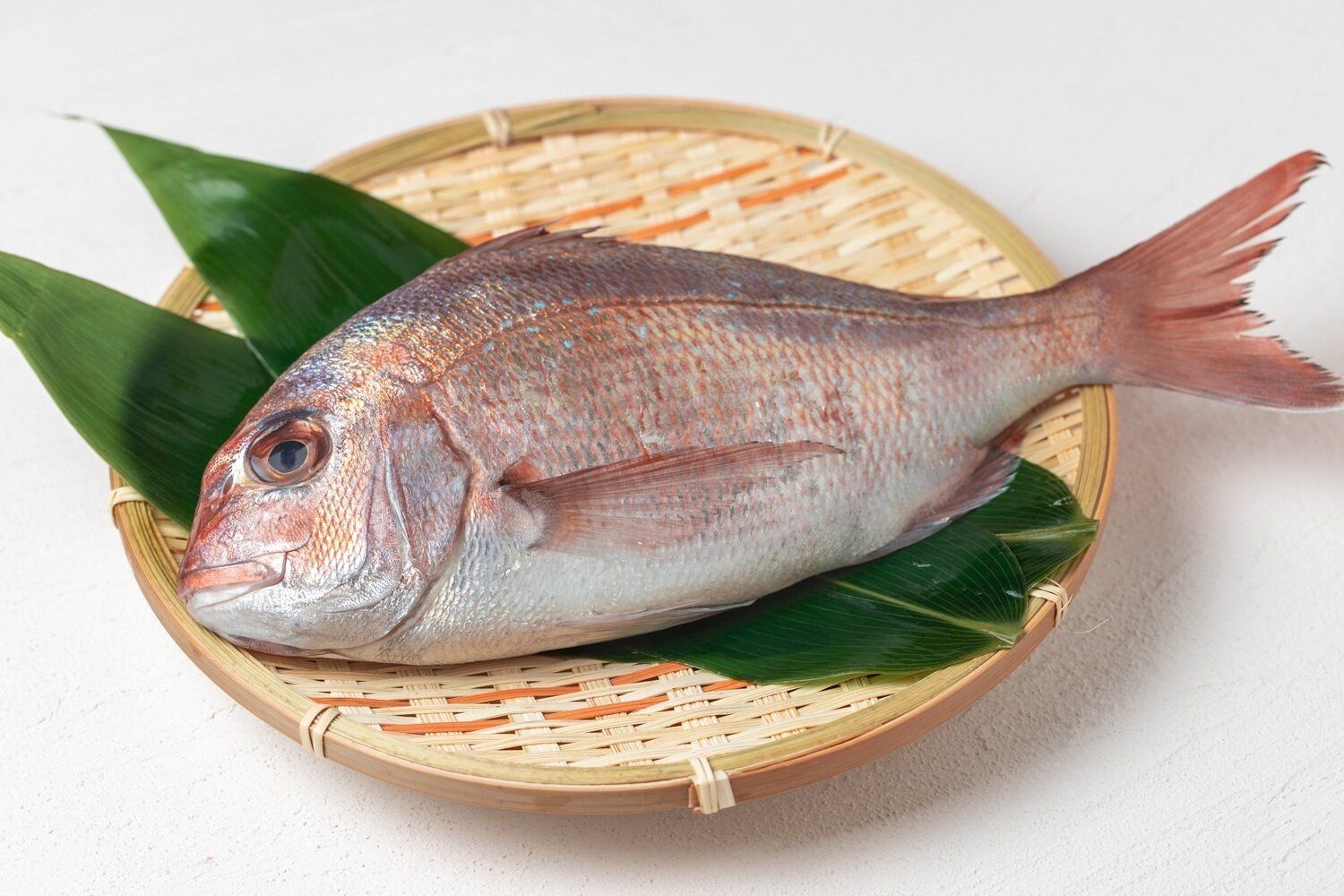 「鯛（たい）」の冷凍方法は？上手な保存のコツやおいしい活用レシピを紹介
