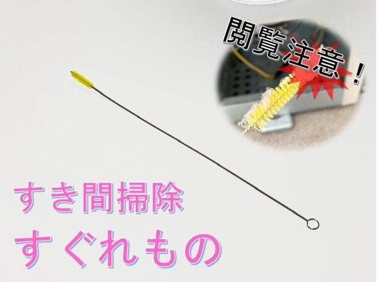 【面白いほどよく取れる】業務用の道具は優れものだった！パイプブラシの応用編