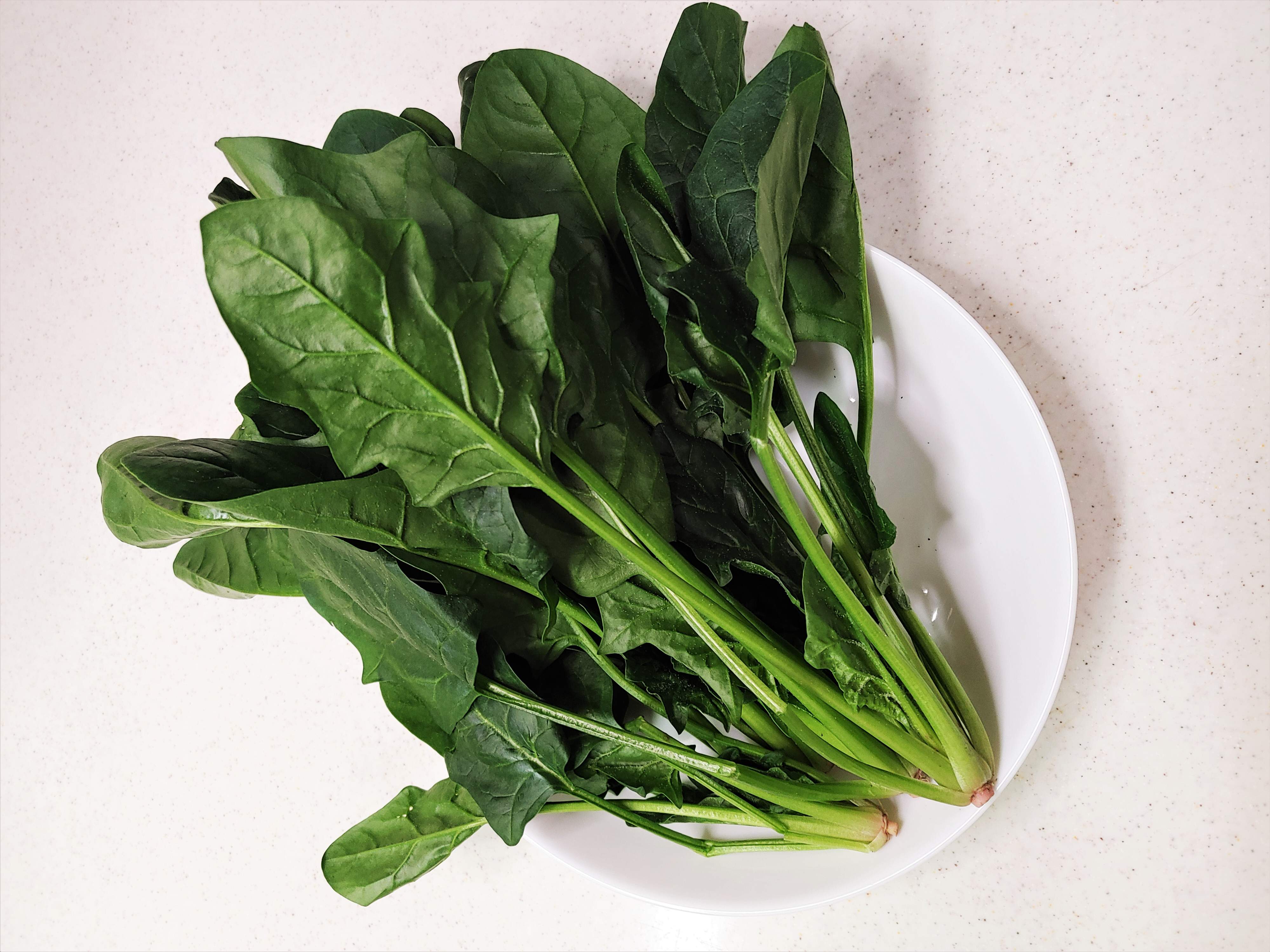 【旬のほうれん草は甘い！】栄養豊富な旬野菜をたっぷり食べられる「ほうれん草のツナサラダ」の作り方