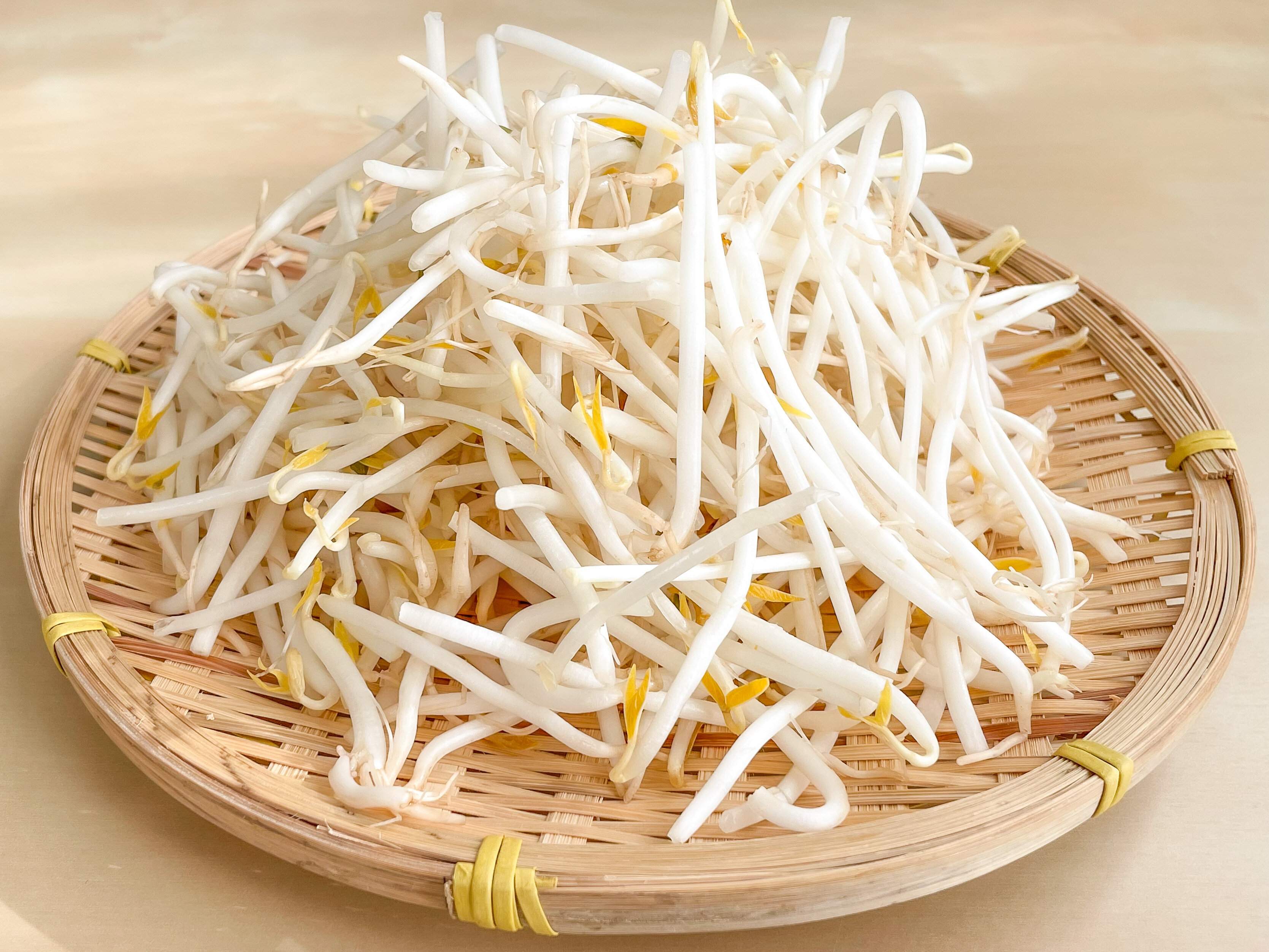 野菜のプロが教える！もやしは水からゆでるのが正解