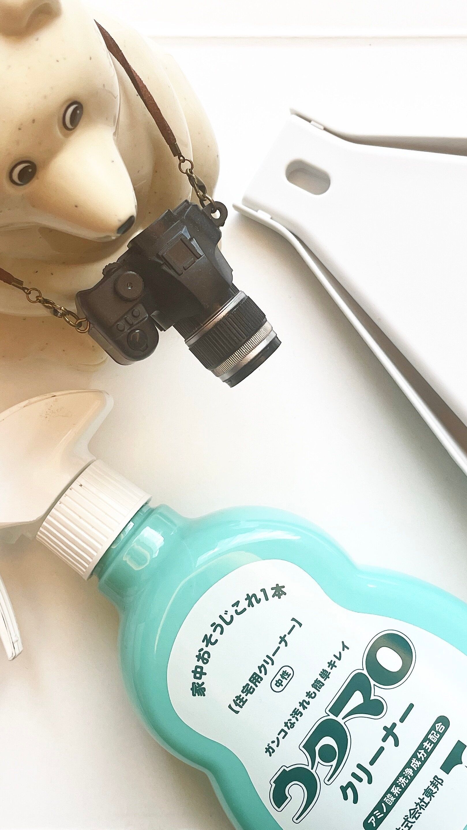 【断捨離】整理収納アドバイザーが捨てたモノ7選！