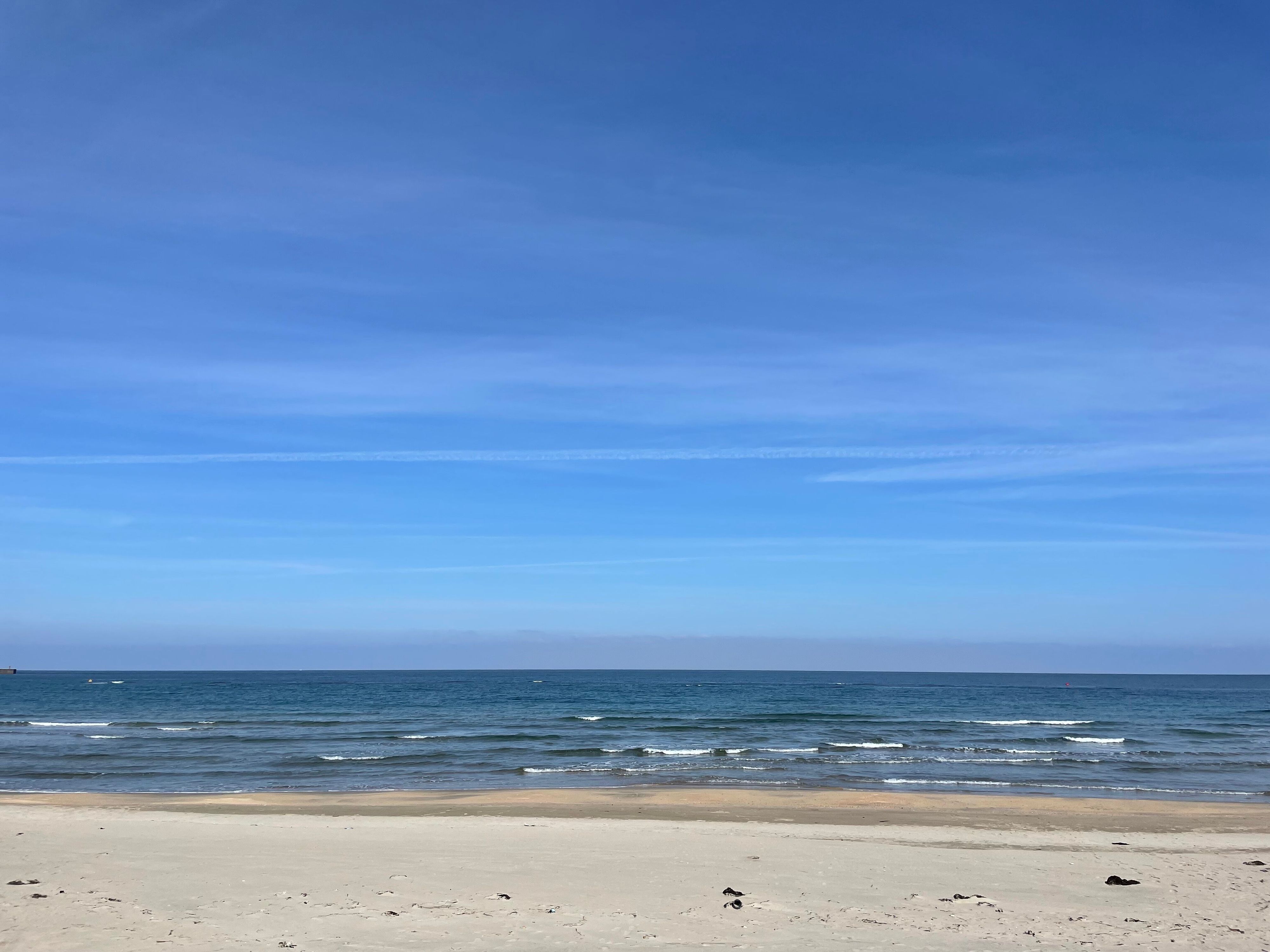 意外と映えない写真が好評？主婦ライターがつい撮ってしまう写真ベスト3