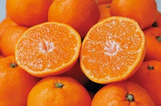 もう、高くて手が出ない……あきらめる前にふるさと納税をチェックして！厳選リスト