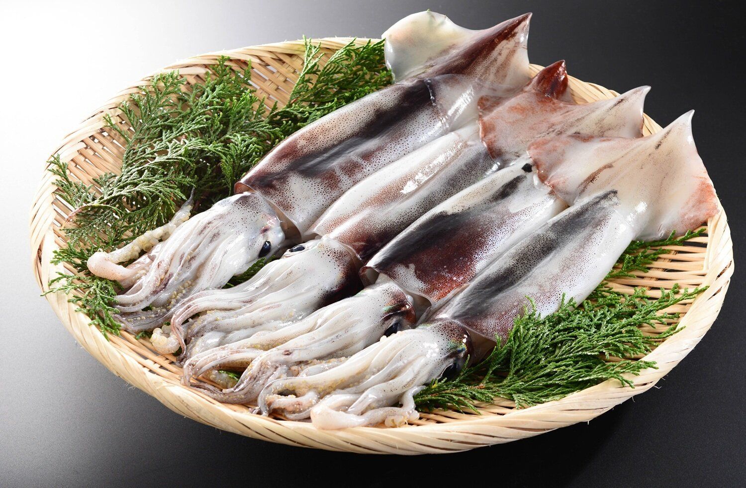 「イカ」は冷凍できる！保存や解凍の方法・注意点は？アレンジレシピも紹介