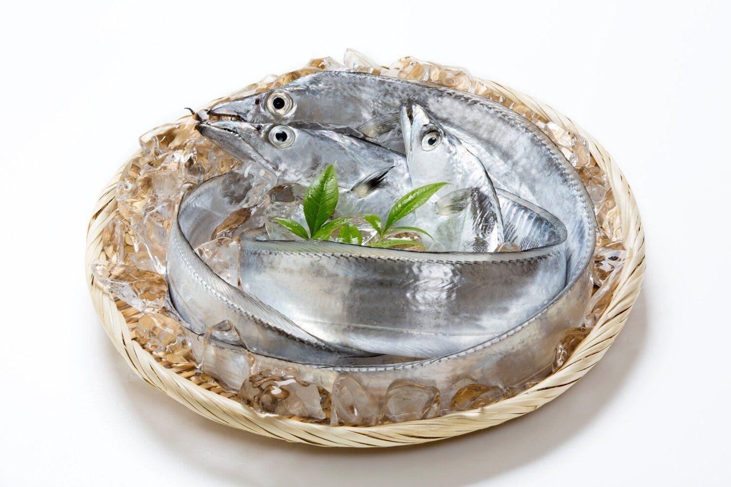 「太刀魚」は冷凍できる！保存や解凍の方法・注意点は？アレンジレシピも紹介