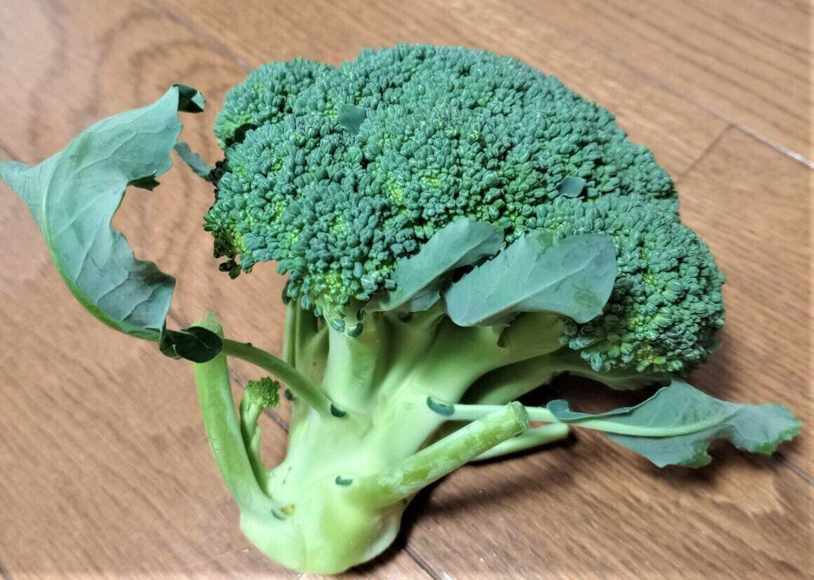 ブロッコリーの茎を美味しく！用途別の切り方を野菜ソムリエが解説