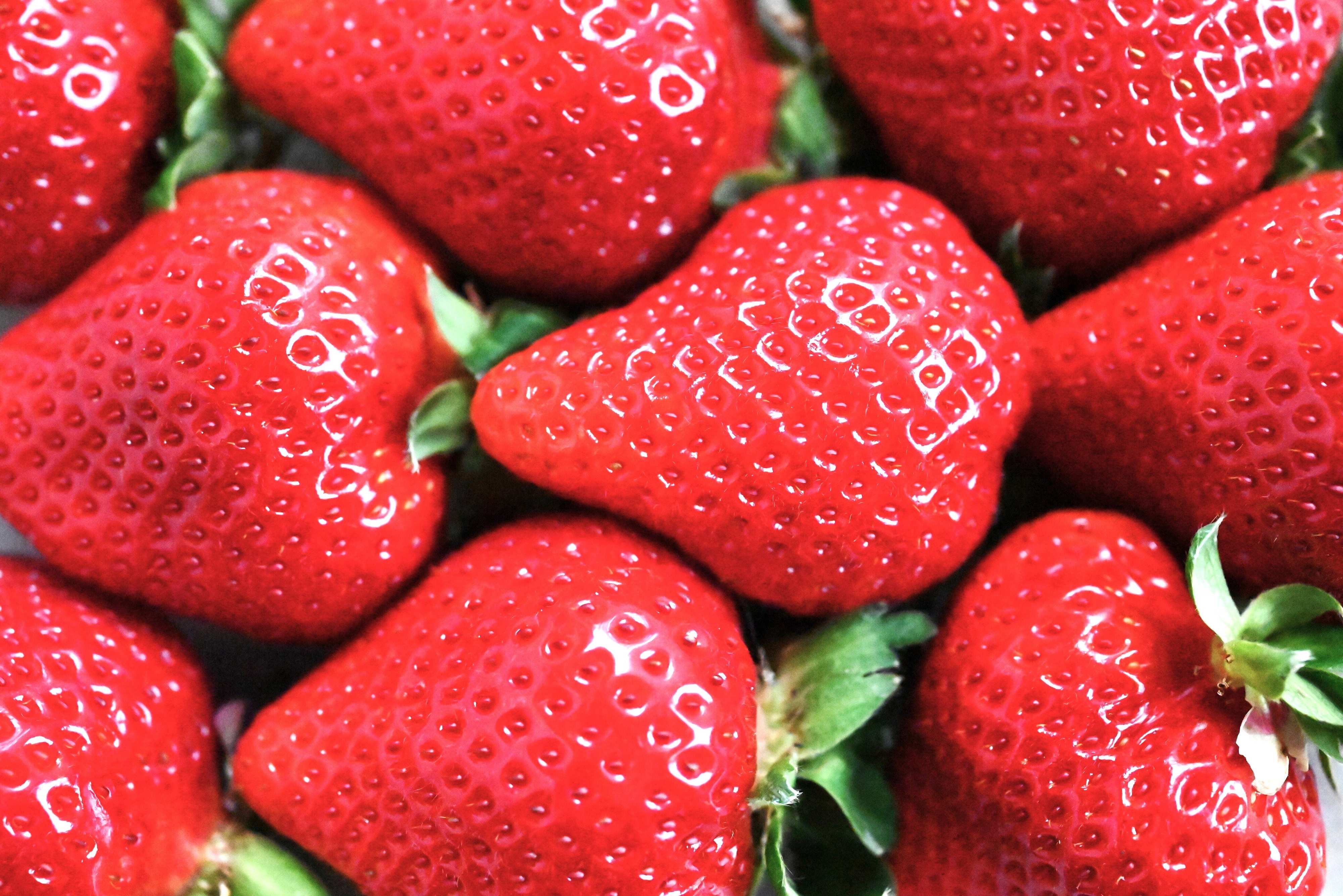 【旬食材】見切り品でいちごを見つけたらやってみて！いちごを最後までおいしく食べる♪保存期間を長くする方法2選