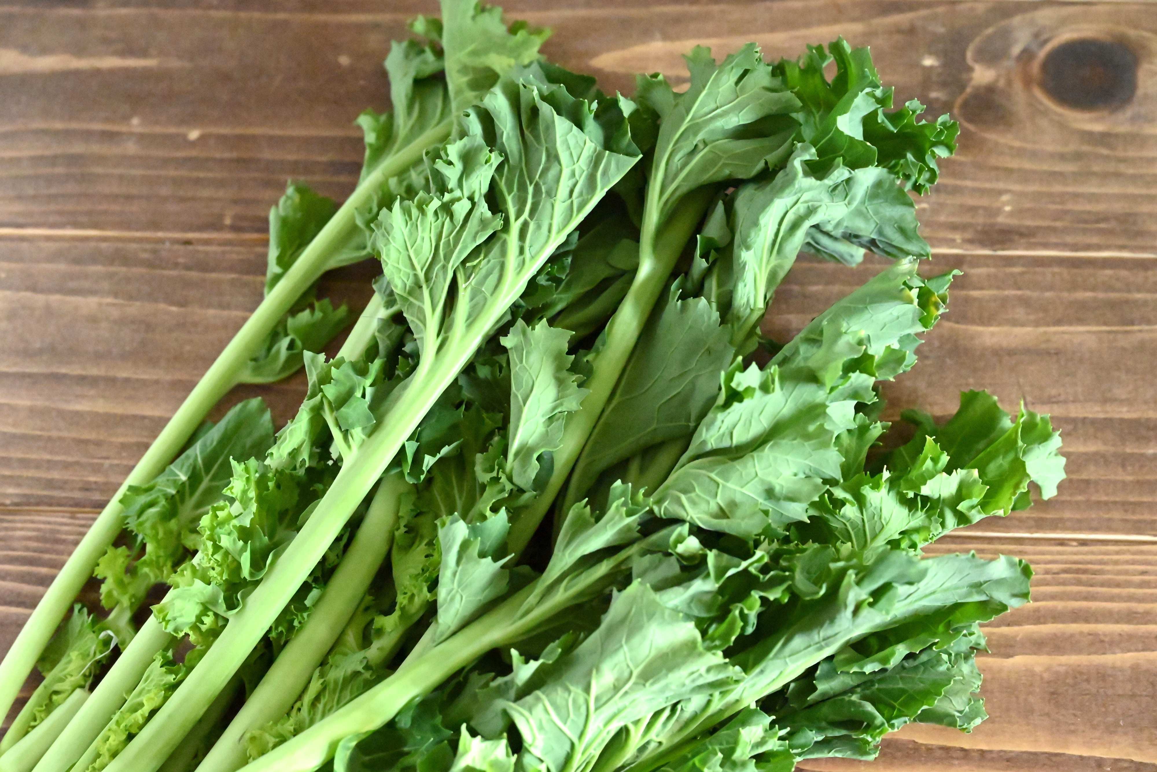 【旬食材】菜の花よりも食べやすい！子どもOK♪栄養たっぷりの「かき菜」を簡単レシピで味わおう