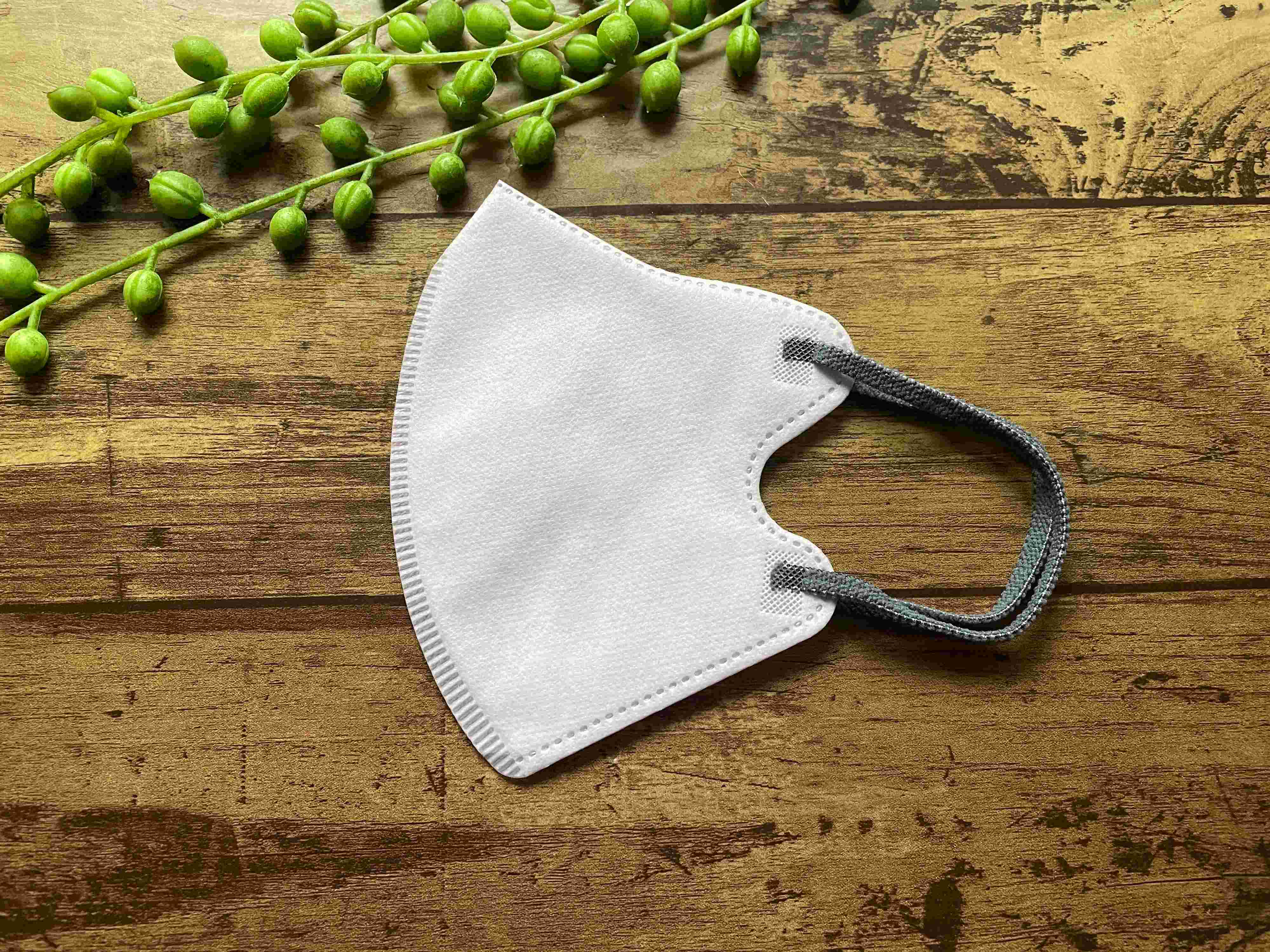 【キャンドゥ】の「バイカラーマスク」は他100均と違う！見かけたら買うしかない！