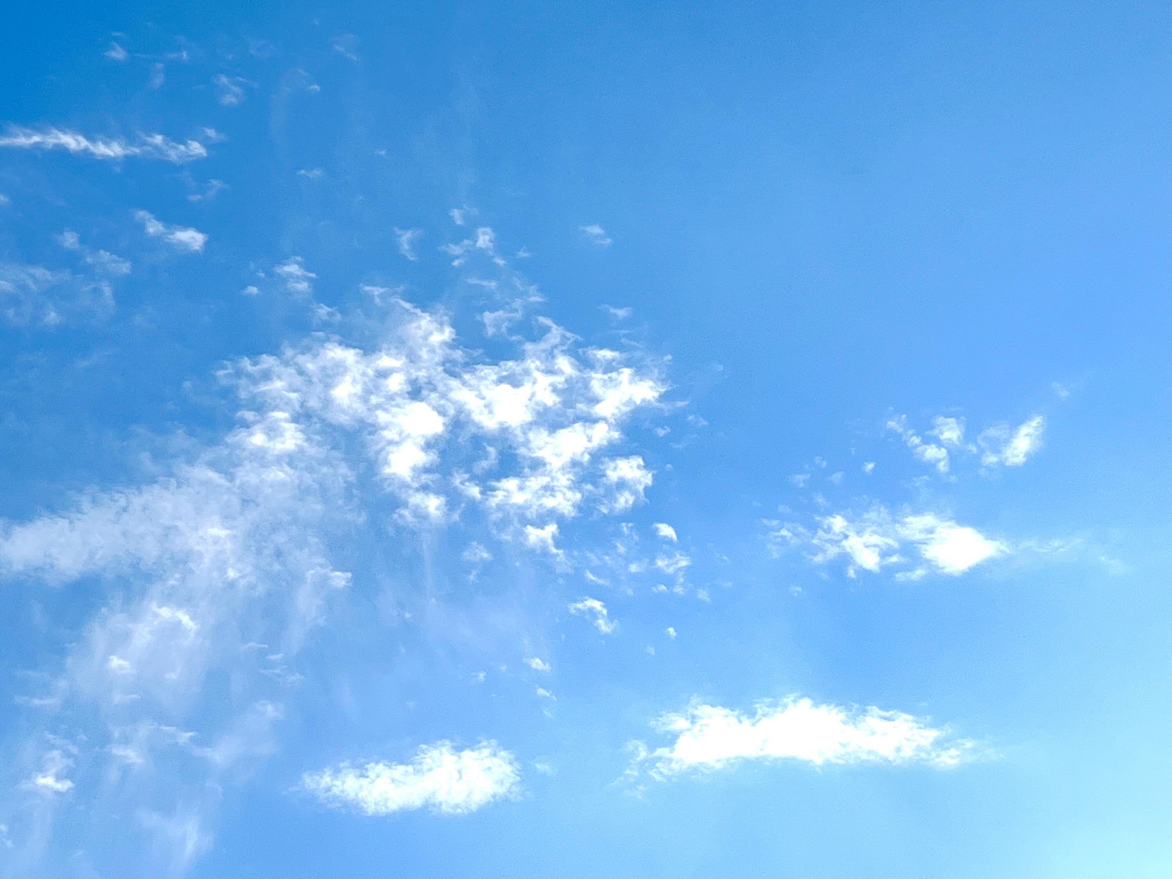 【防災士が実践】枕元に置いているもの3つ！置くべき場所は…