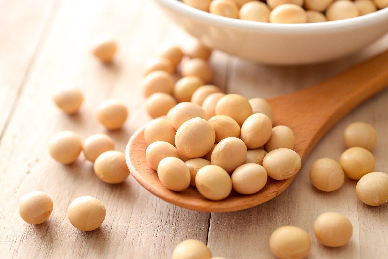 大豆は冷凍できる！種類別の保存や解凍の方法・アレンジレシピも紹介