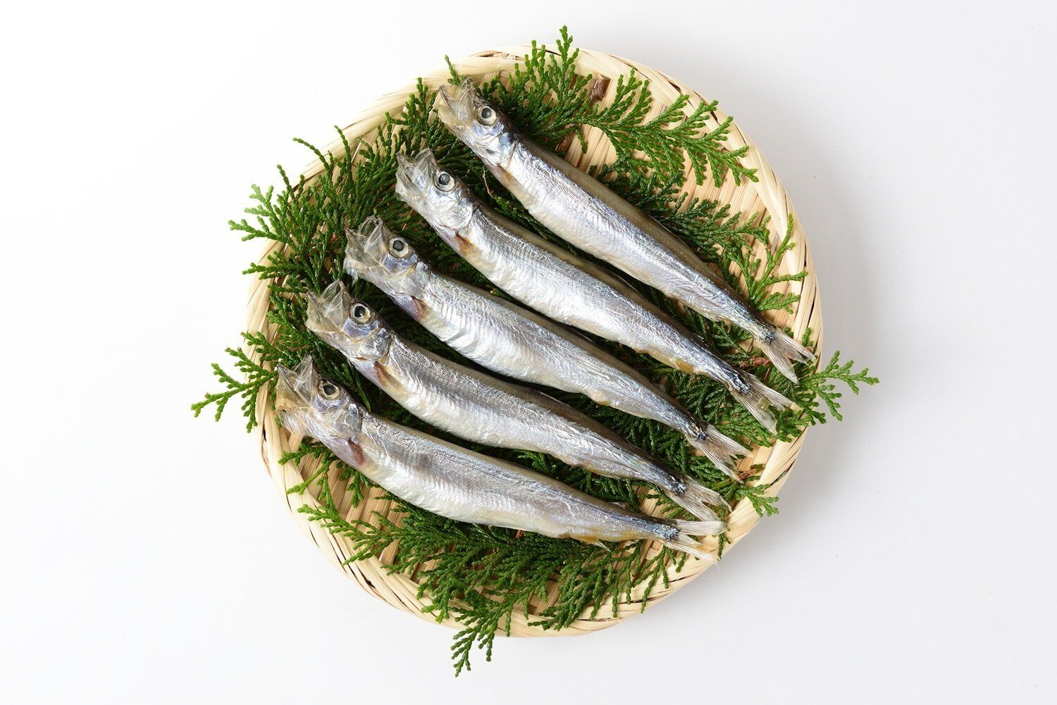 「ししゃも」は冷凍保存が便利！上手においしく保存するためのテクニック