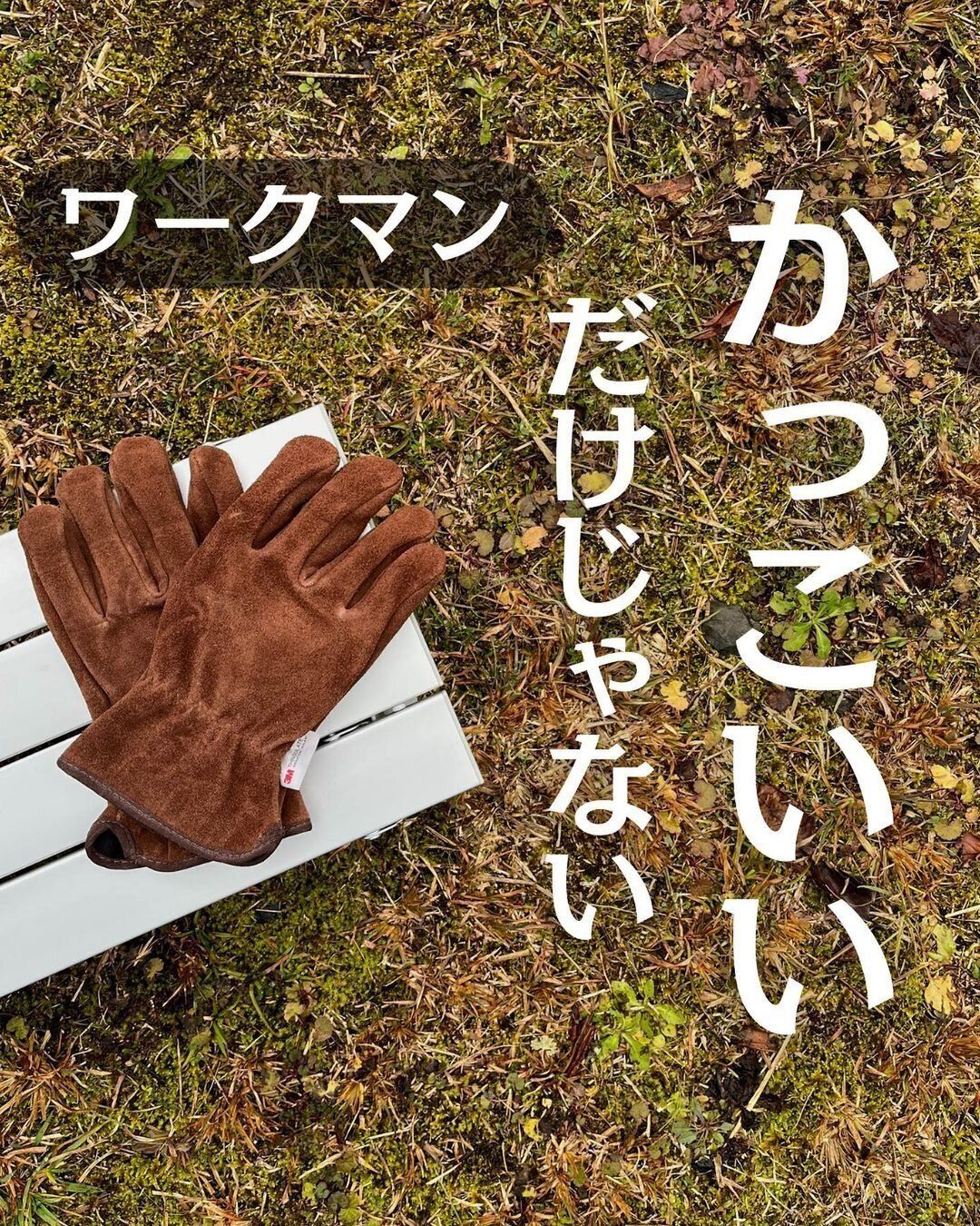 指名買いが止まらん【ワークマン】「一目ぼれ」「かっこいいだけじゃない」キャンプグッズ3選