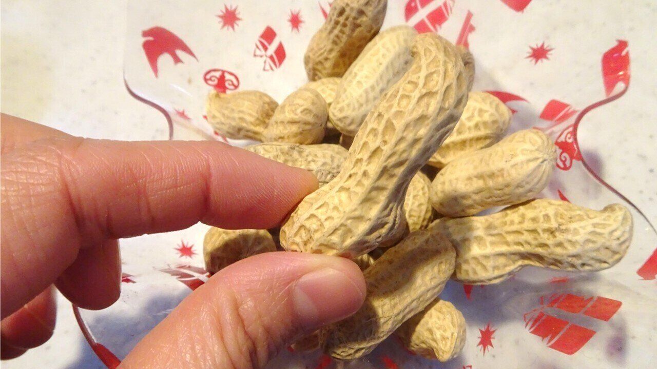 「落花生」は炊き込むと絶品！新食感＆満足度高めの炊き込みご飯レシピ