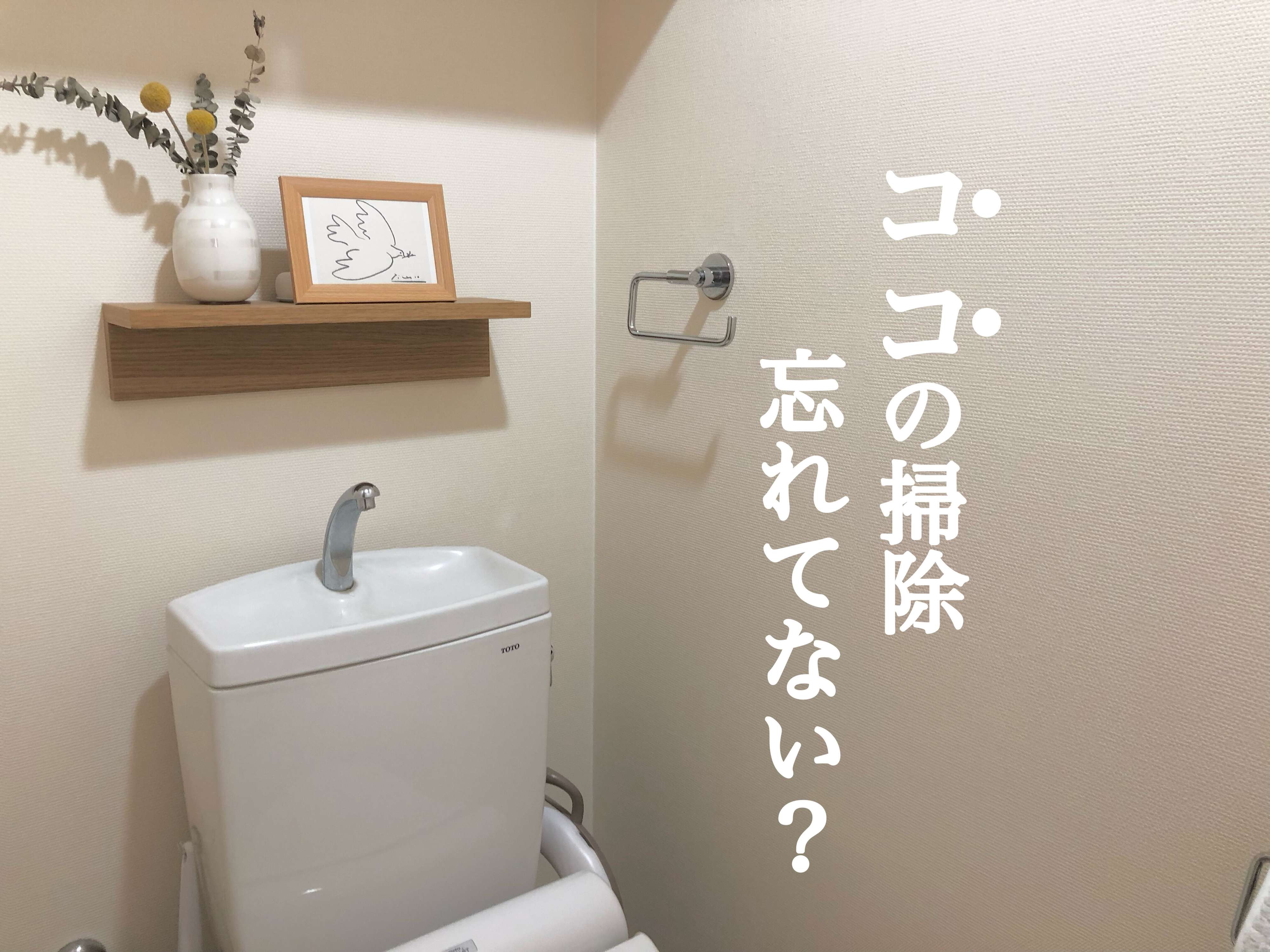 ココの掃除忘れてない？トイレが臭う時にやって欲しい見落としがちな掃除場所