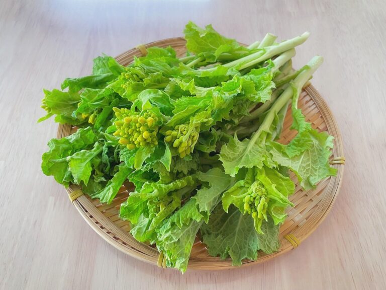 【野菜のプロが解説】意外と知らない「菜の花」「菜花」のちがい
