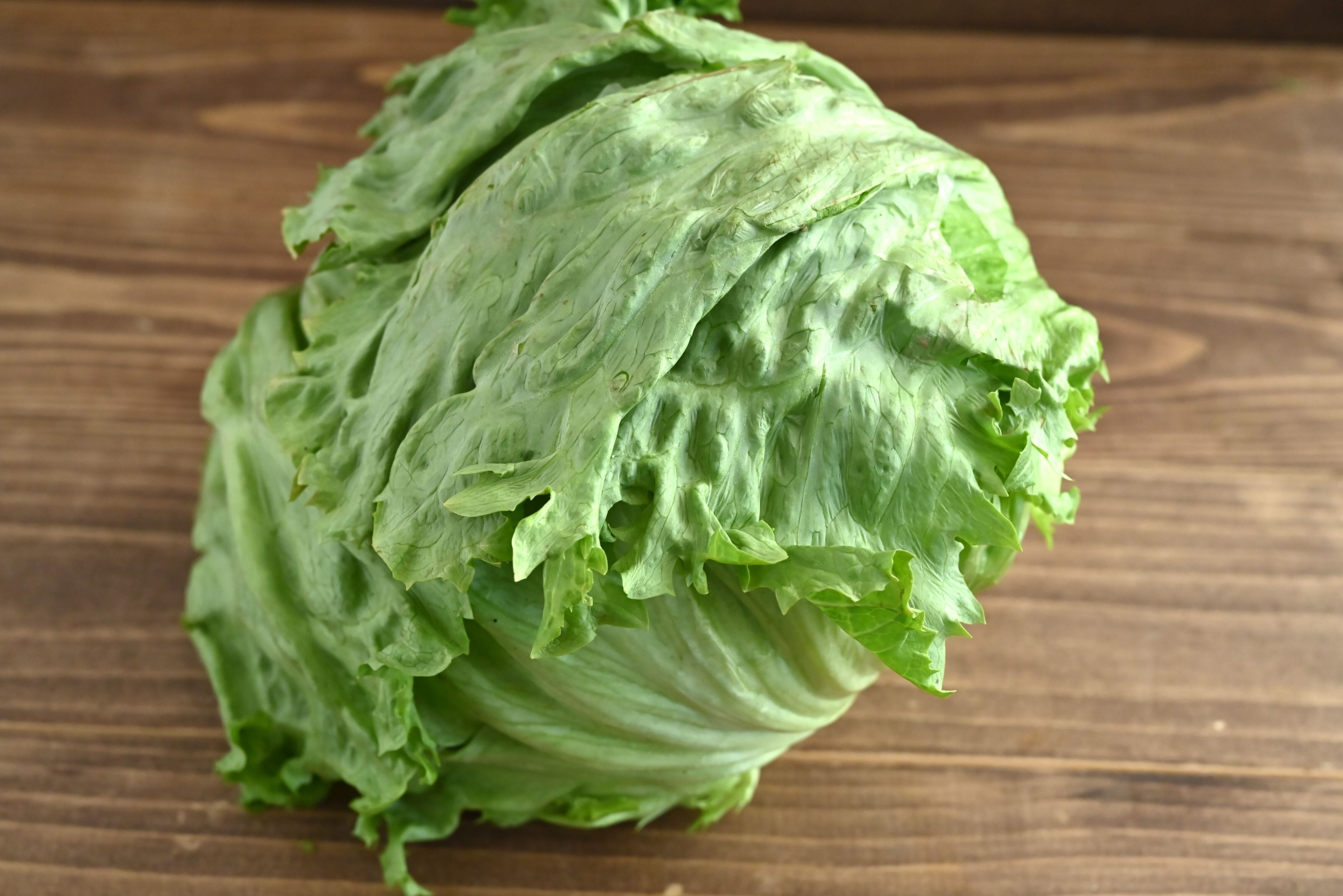 【旬食材】レタスは加熱して大量消費！レタスを加熱して食べる簡単＆絶品レシピ3選