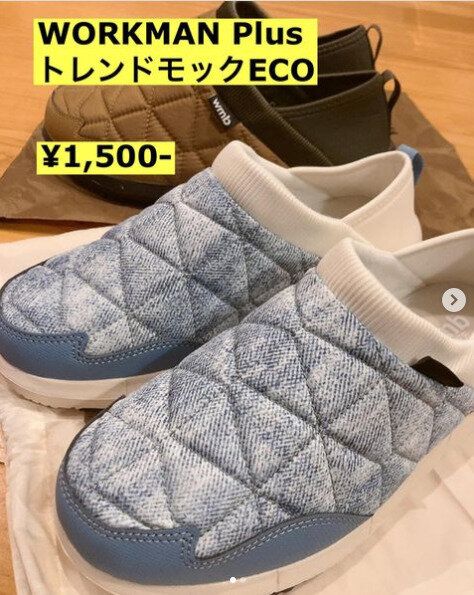 キャンプ愛好家が大注目！【ワークマン】「1年中これがあれば大丈夫」「さすがすぎ」高コスパアイテム2選