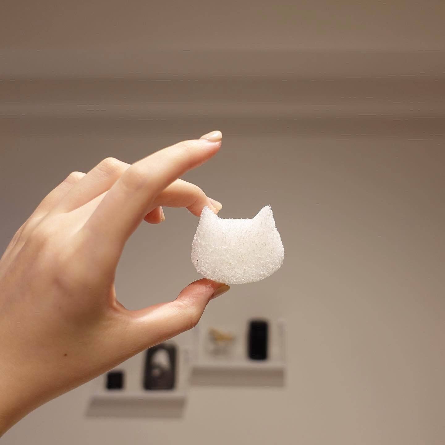 買わなきゃ損！【セリア】「ようやく発見」「モチベあがる」洗面所で役立つアイテム3選