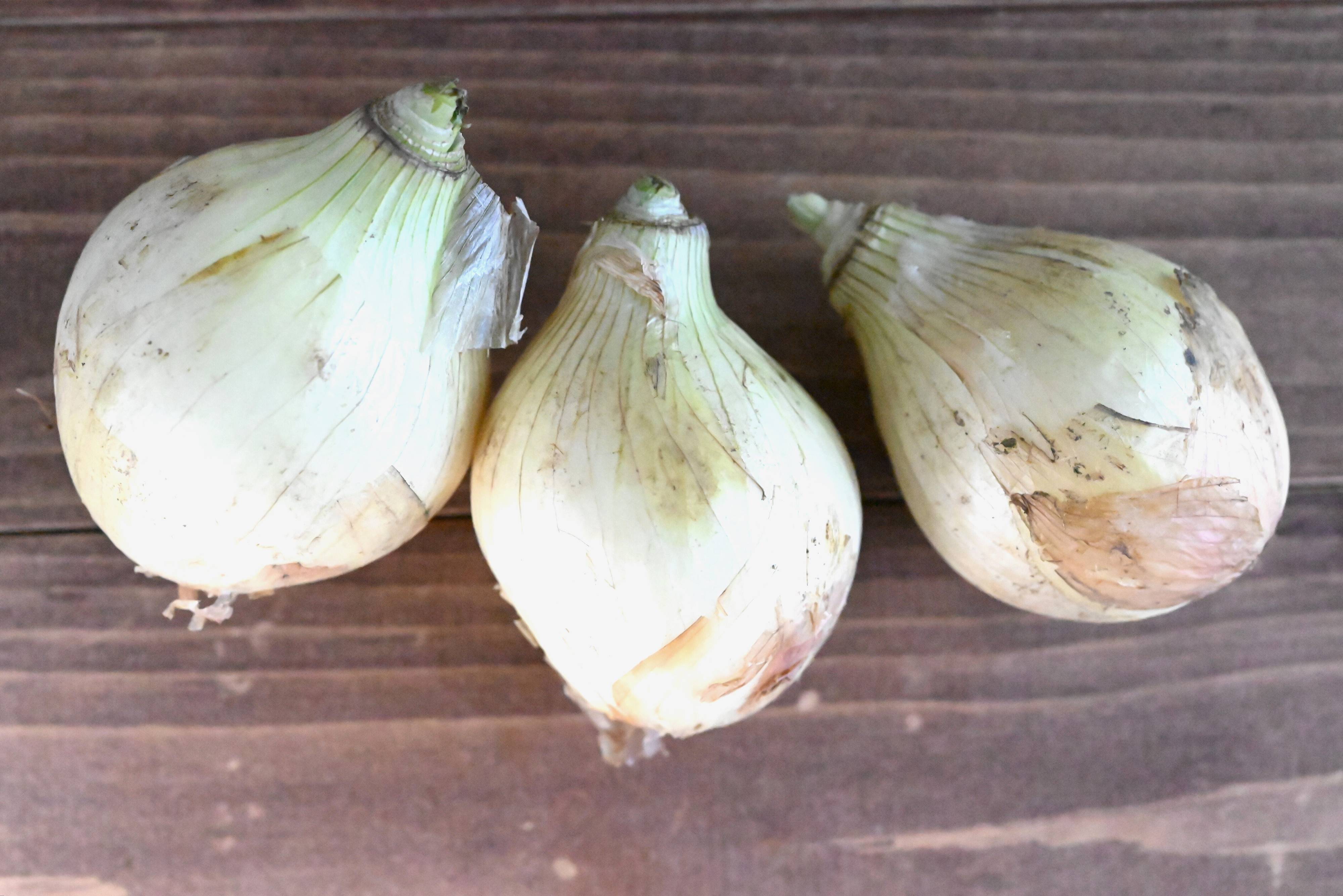 【旬食材】新玉ねぎはレンジ加熱で甘味が増す！レンチンで作れる簡単レシピ2選