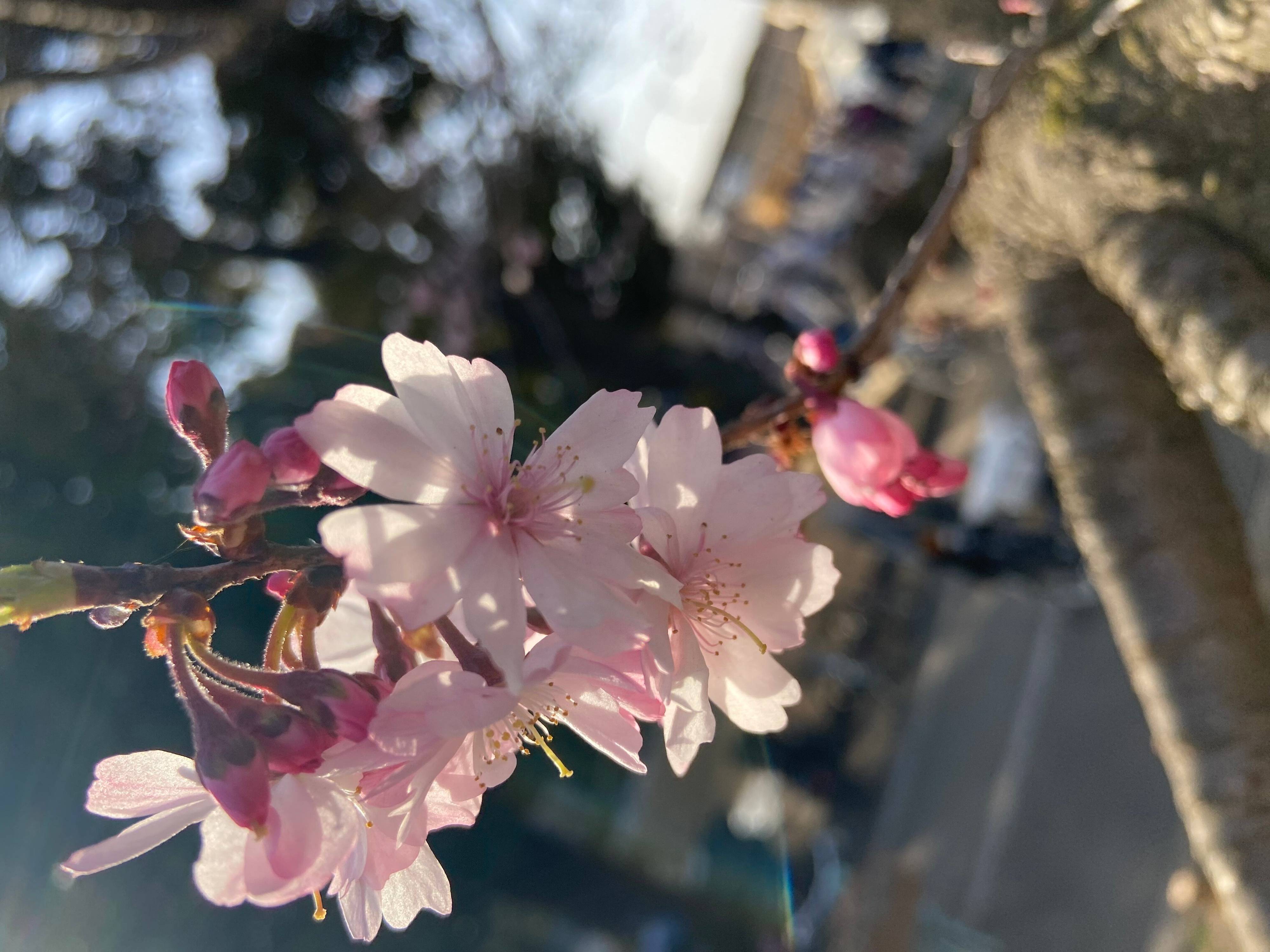 新学期に買っておくとラクできる５アイテム