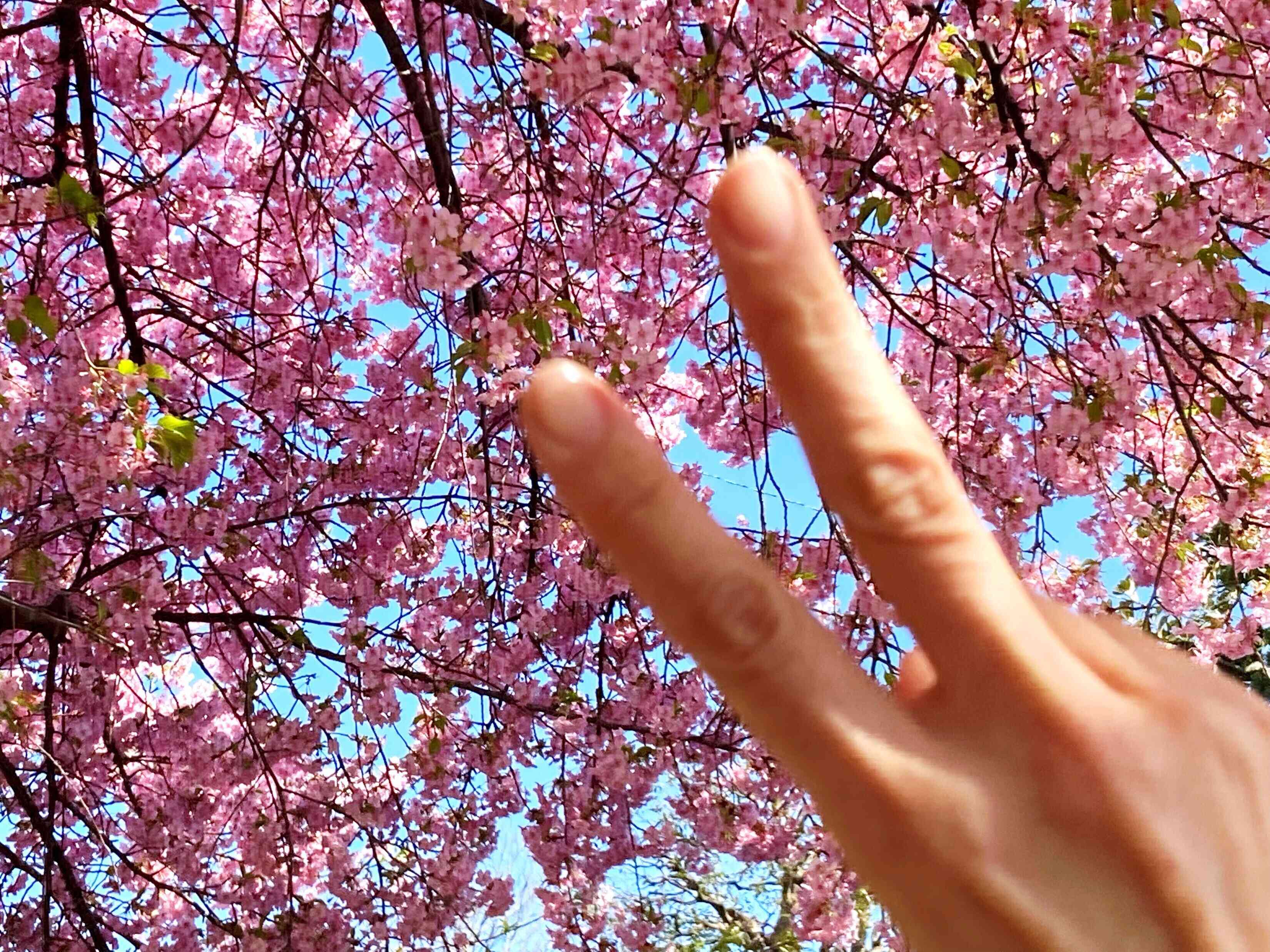 冬に重くなった体がすっきり！春ダイエットで運動や食事制限の前にやりたいこと