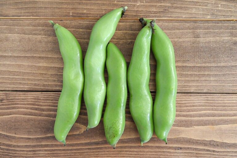 【旬食材】そら豆は「茹でる」じゃなくて「焼く」が簡単♪＆そら豆を使う簡単レシピ2選