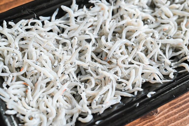 【旬食材】カルシウムたっぷり！「しらす」をさまざまな料理で楽しもう♪簡単しらすレシピ3選