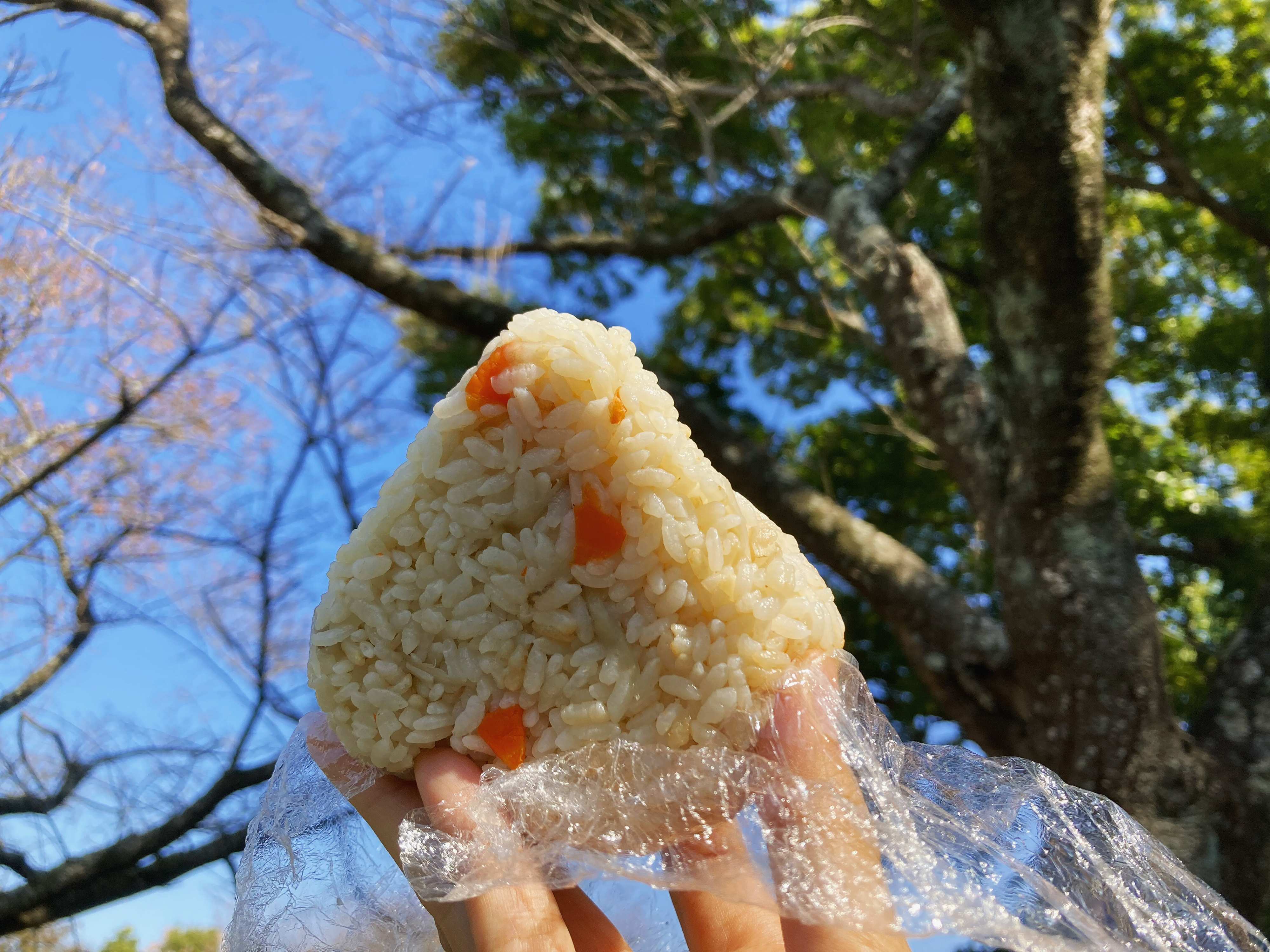 お出かけがある日も朝はゆっくり寝ていたい！数分で用意する手抜き行楽弁当