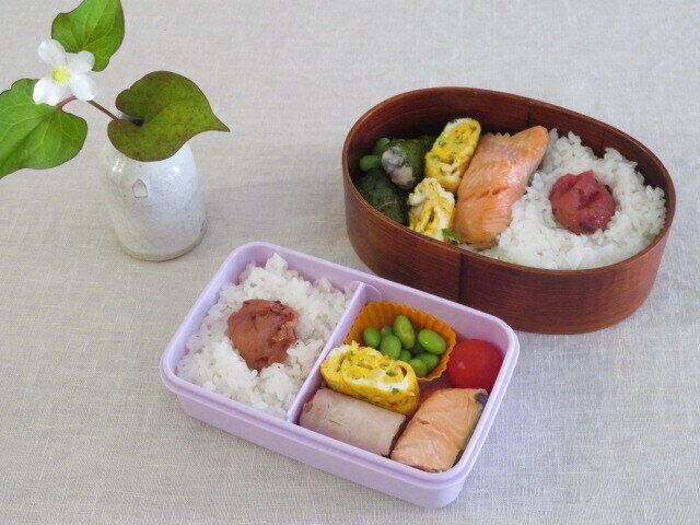 気温の高い日のお弁当はどうしたらいい？食生活のプロが実践する方法