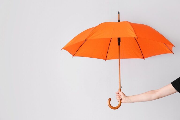 これだけやれば金運アップは確実！雨の日の必勝風水【Dr.コパの風水解説】