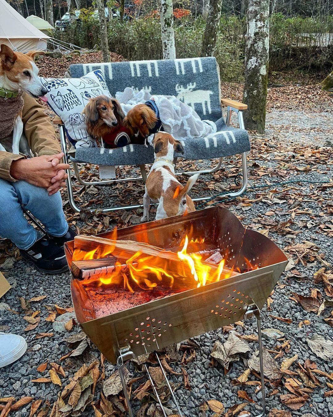アウトドアがもっと楽しくなりそう！【ワークマン】「とてもよかった」「かなり魅力的」キャンプグッズ3選