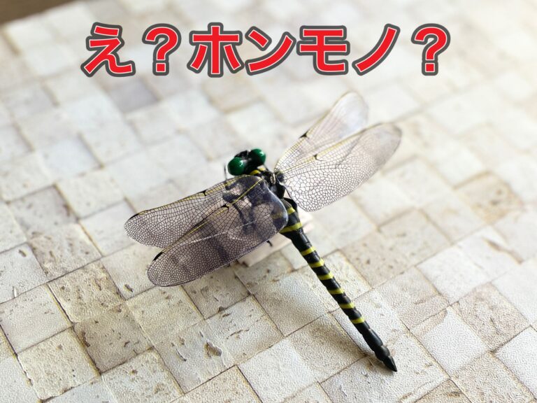 【ワッツ】超リアルでビックリ！去年流行った虫よけグッズがワッツで買えた！