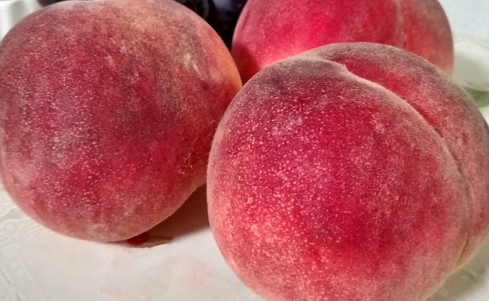 【旬食材】「甘さの勲章」を探せ！失敗せずおいしい桃を選ぶコツ・食べるコツ