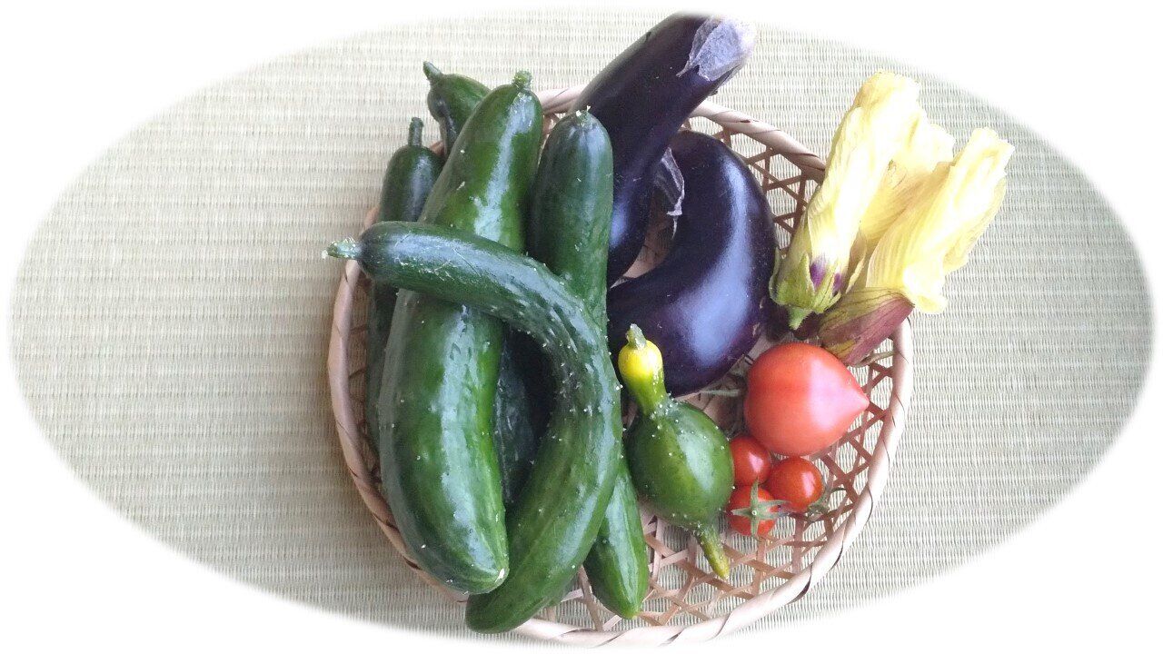 野菜がたりている人は3人に1人未満しかいない⁉野菜不足を解消するために取り入れるべきコツ【3選】