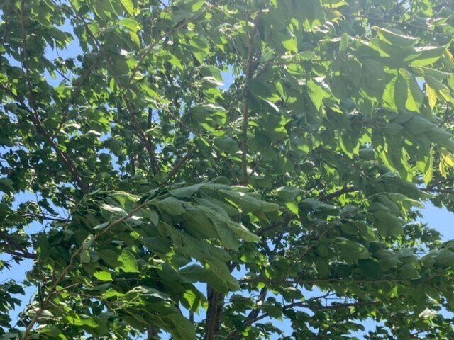 子どもを甘やかすのはダメ？いい甘えと悪い甘えの違いとは