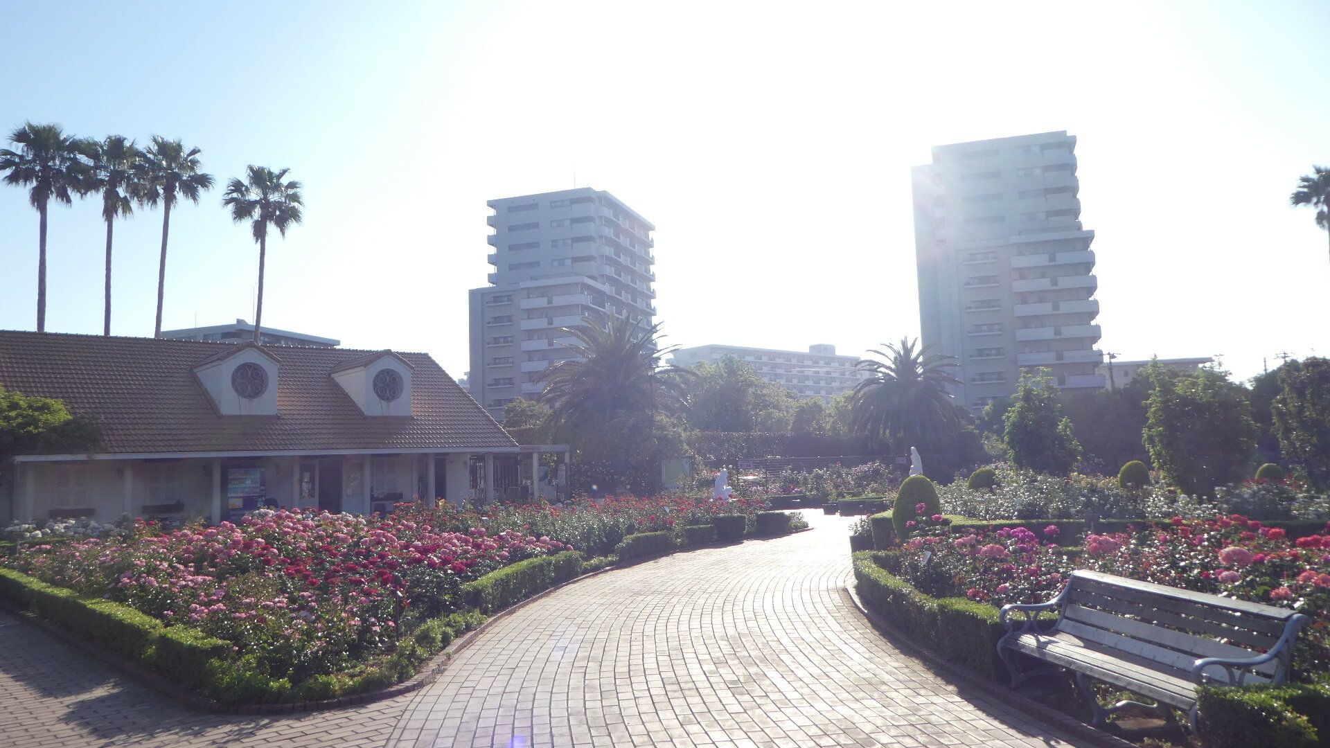 ついに都心も真夏日！気象予報士が季節の変わり目にすることは？